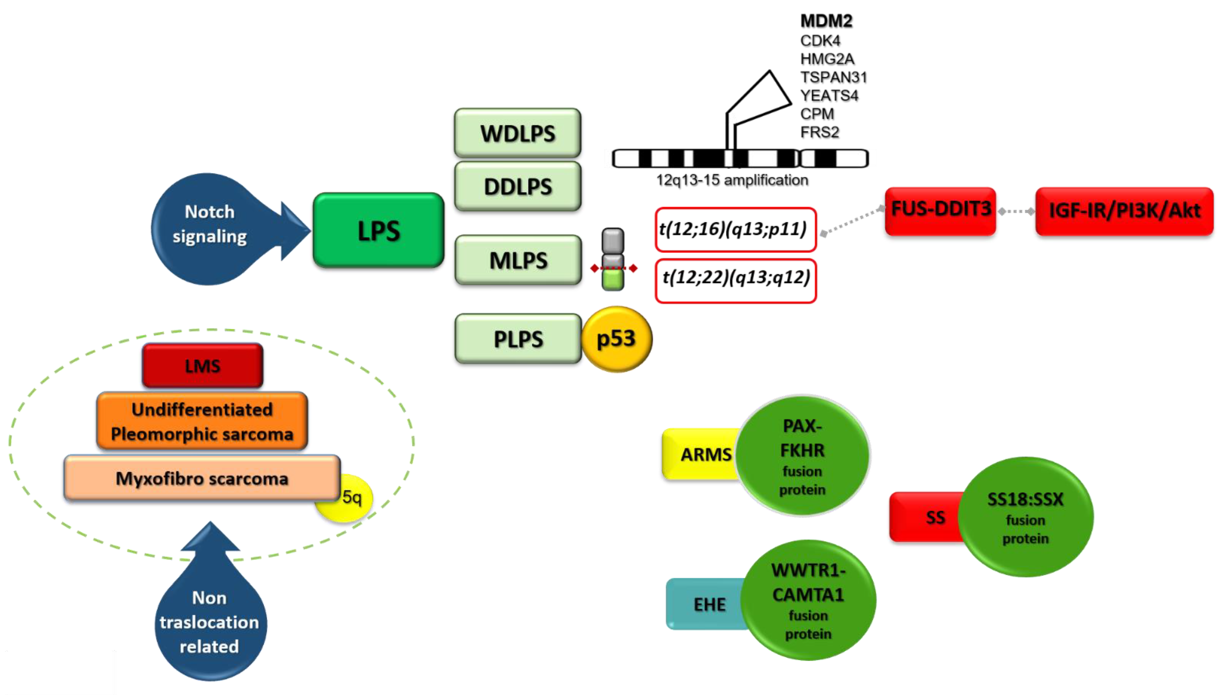 Cancers 13 02359 g002 Cancers 13 02359 g002