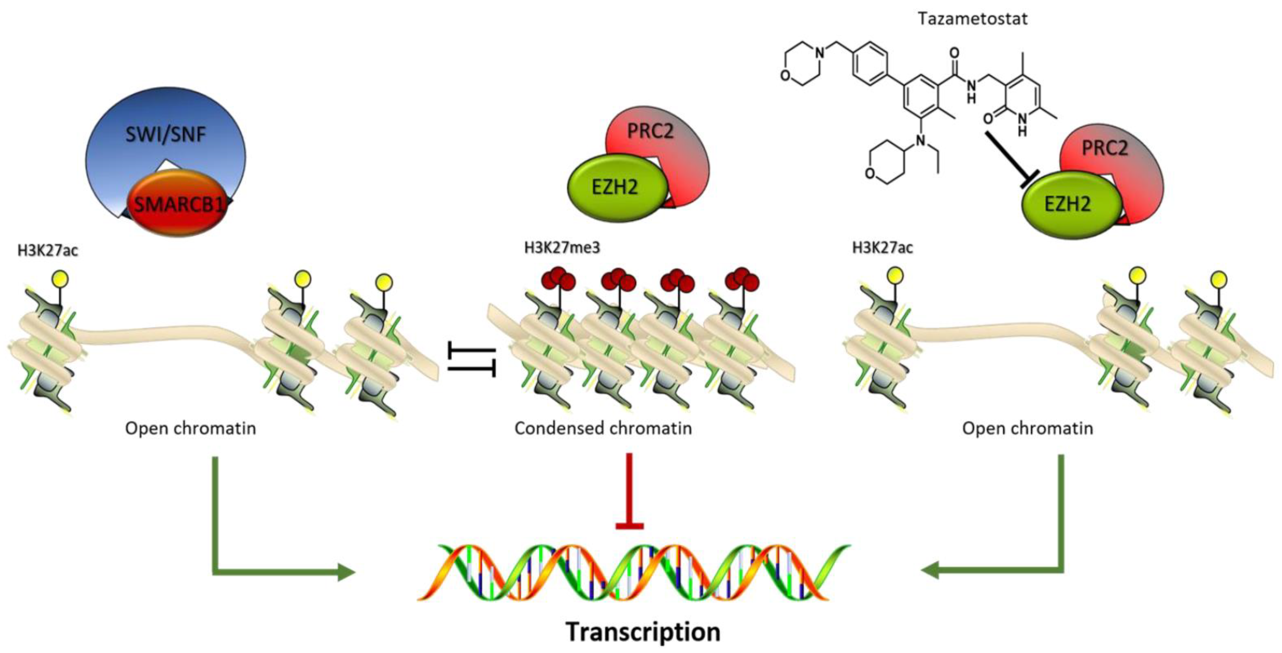 Cancers 13 02359 g003 Cancers 13 02359 g003