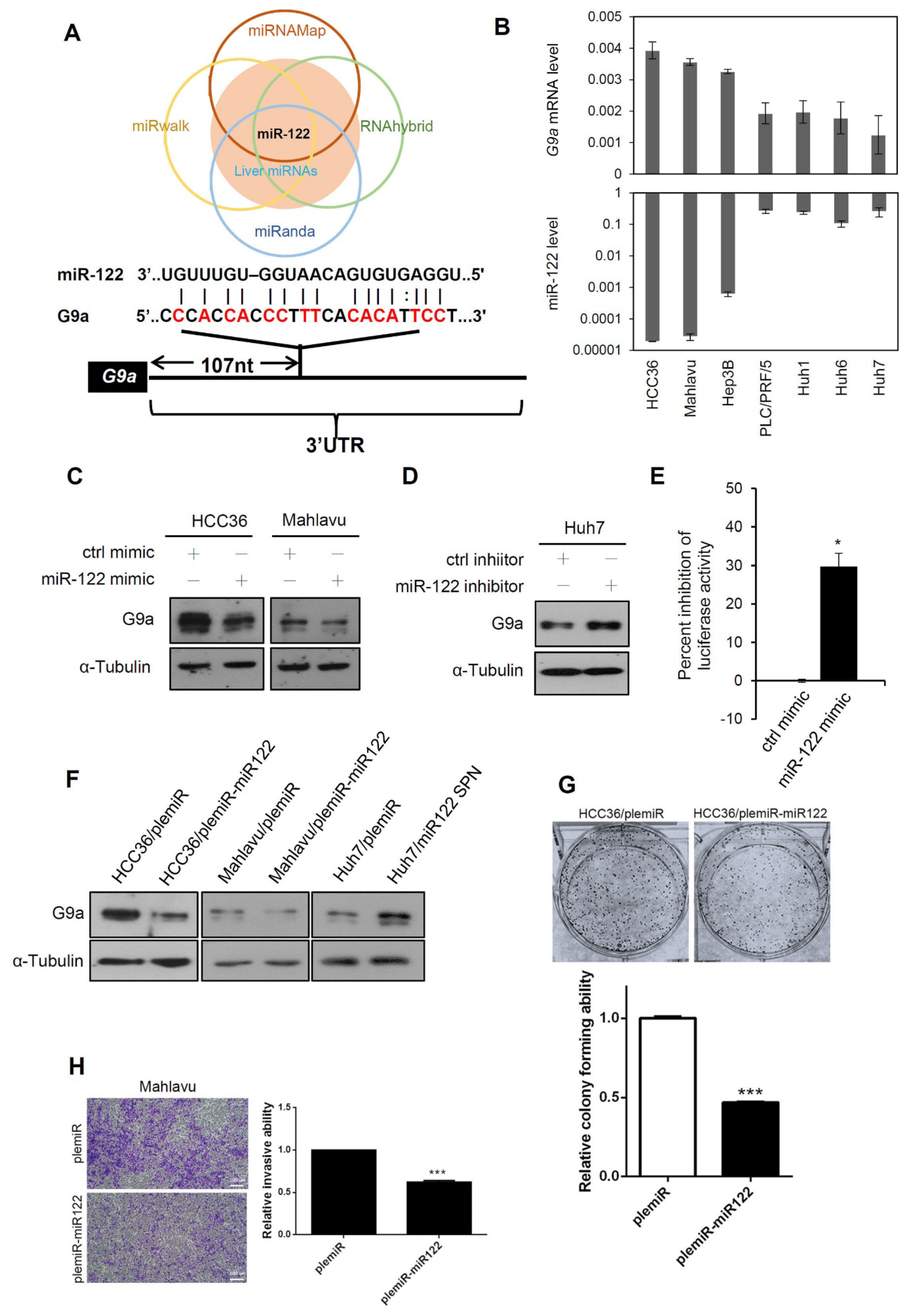 Cancers 13 02376 g005