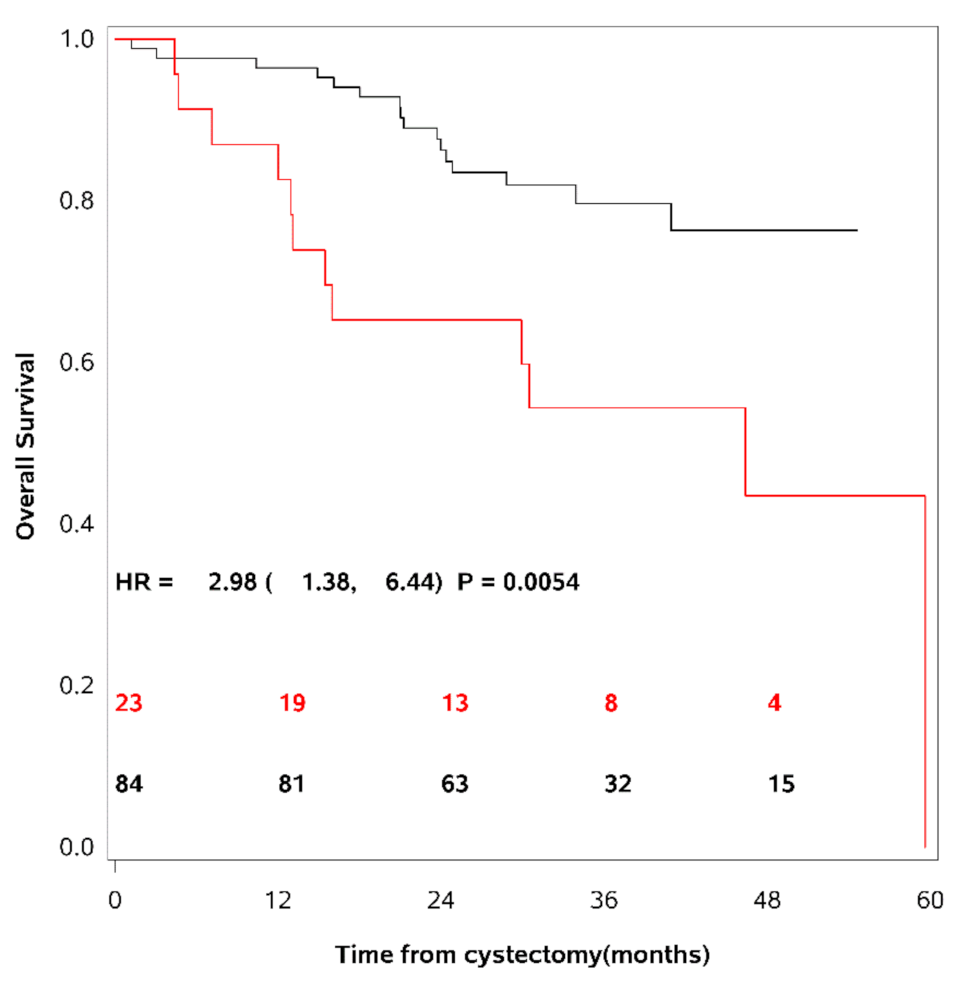 Cancers 13 02377 g002