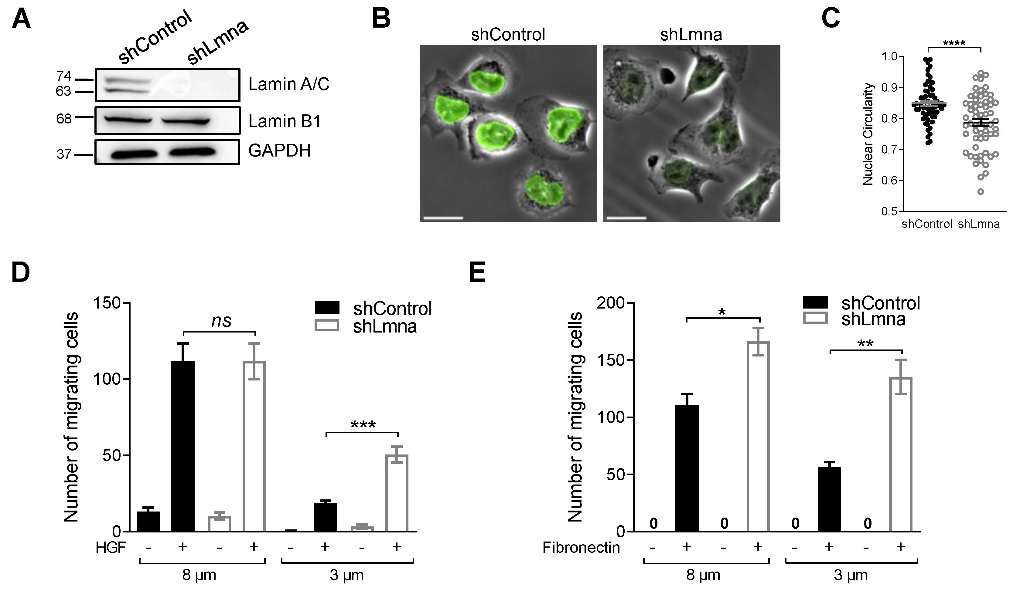 Cancers 13 02383 g001 Cancers 13 02383 g001
