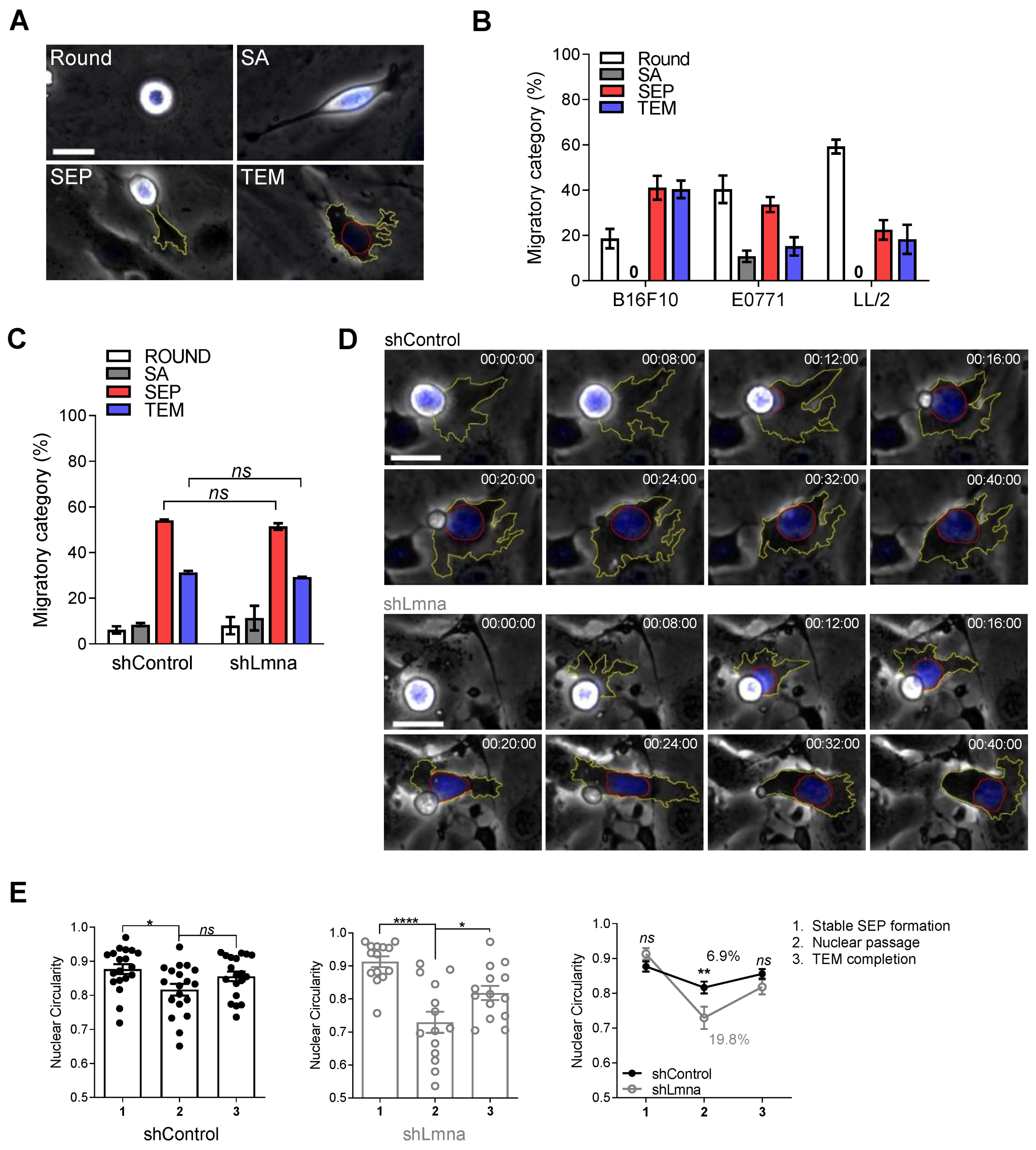 Cancers 13 02383 g002 Cancers 13 02383 g002