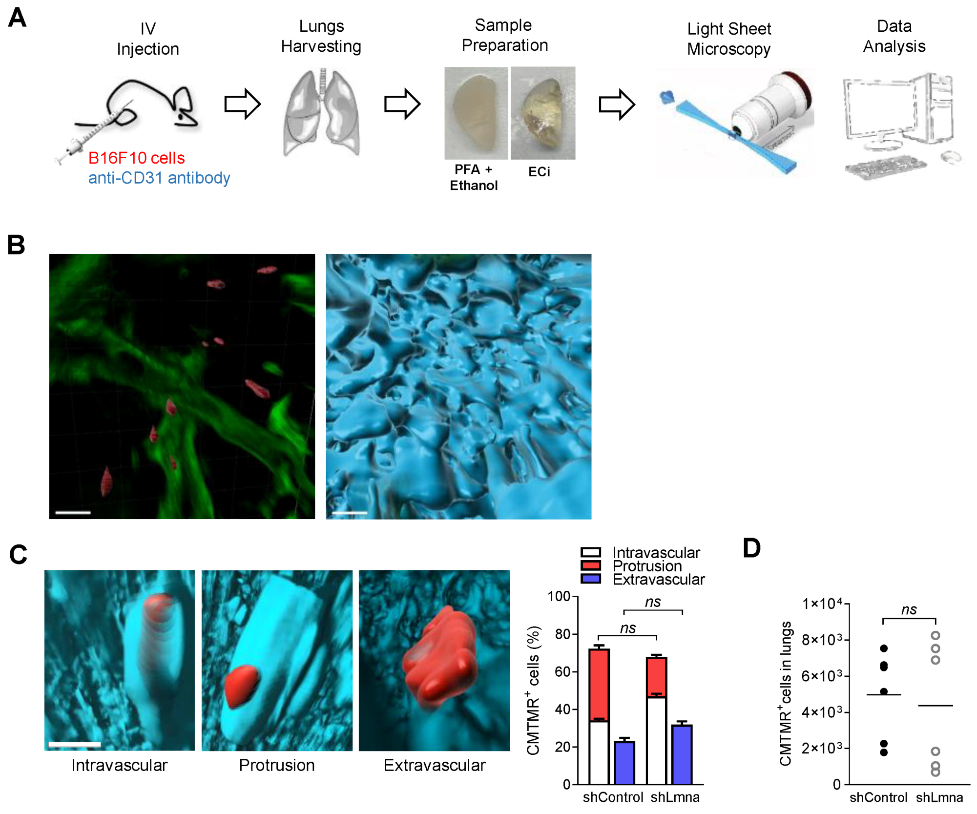 Cancers 13 02383 g003 Cancers 13 02383 g003