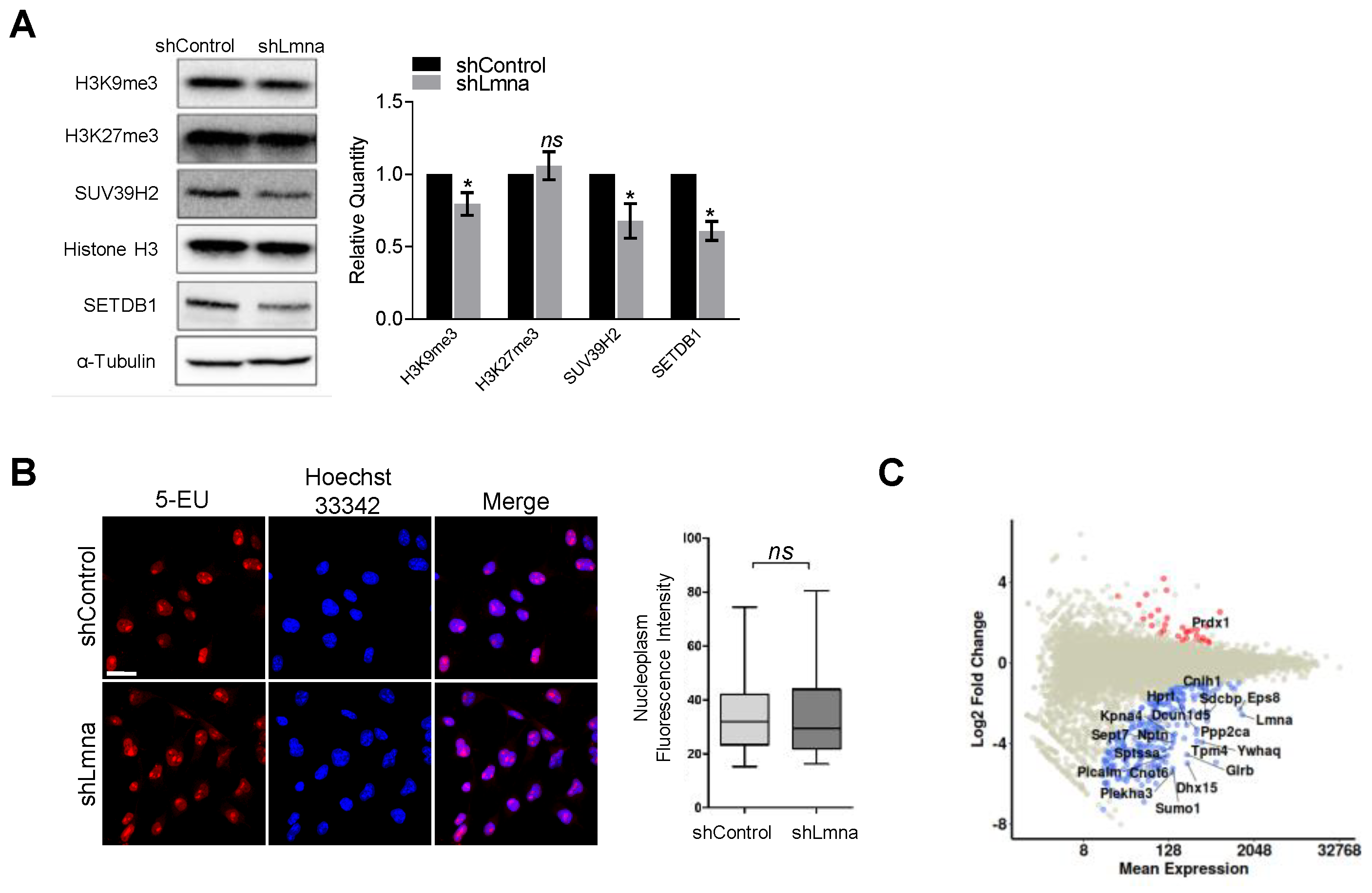 Cancers 13 02383 g004 Cancers 13 02383 g004