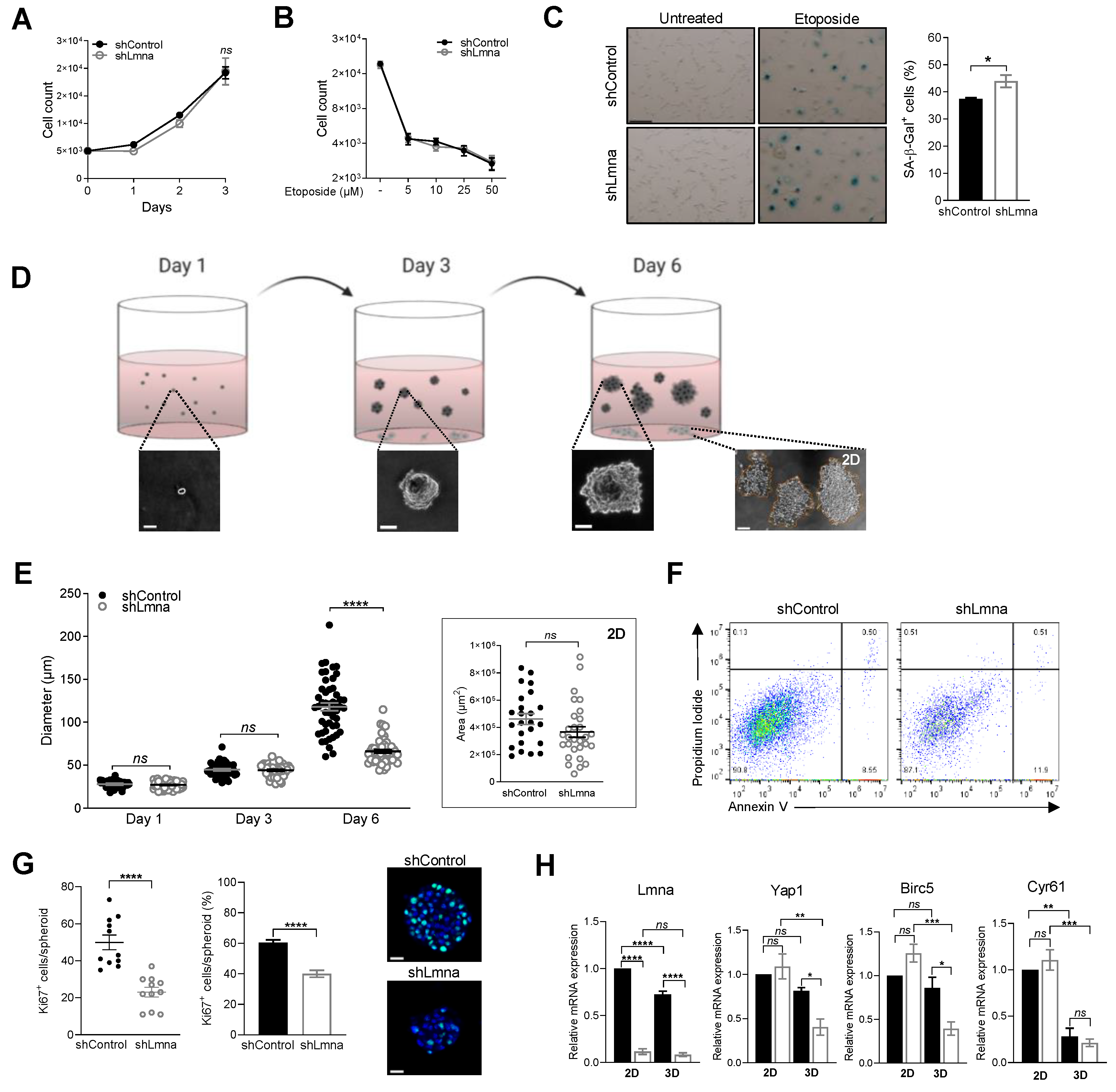Cancers 13 02383 g005 Cancers 13 02383 g005