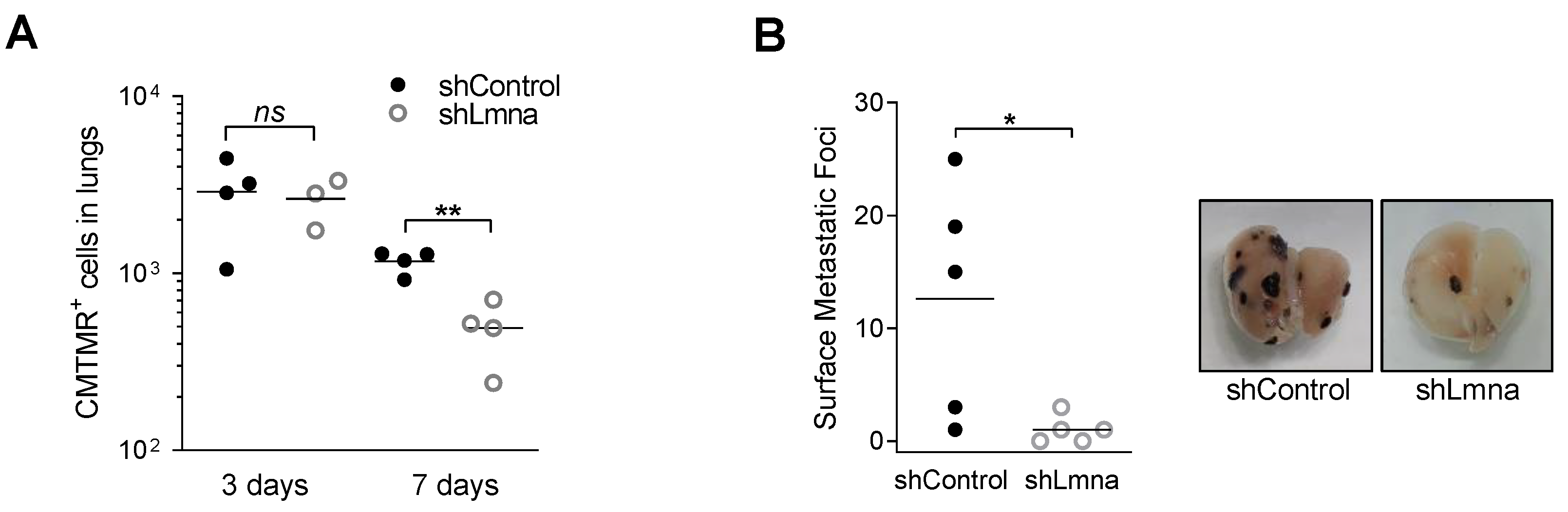 Cancers 13 02383 g006 Cancers 13 02383 g006