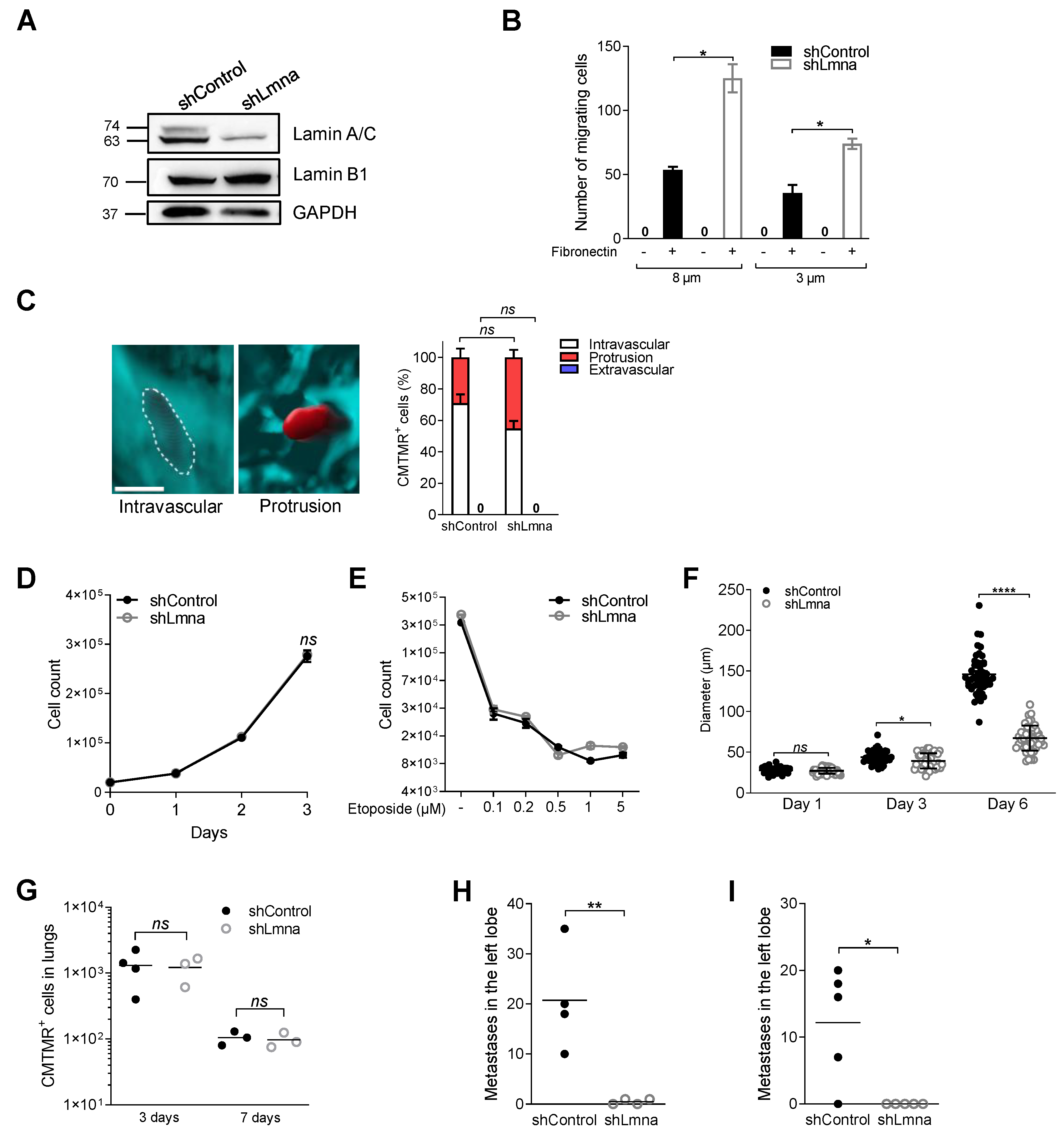 Cancers 13 02383 g007 Cancers 13 02383 g007
