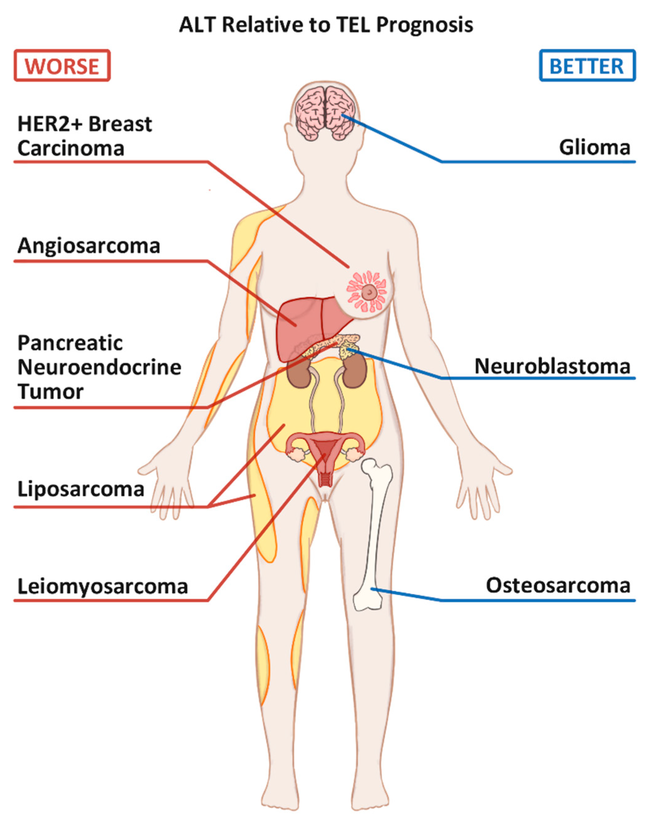 Cancers 13 02384 g001