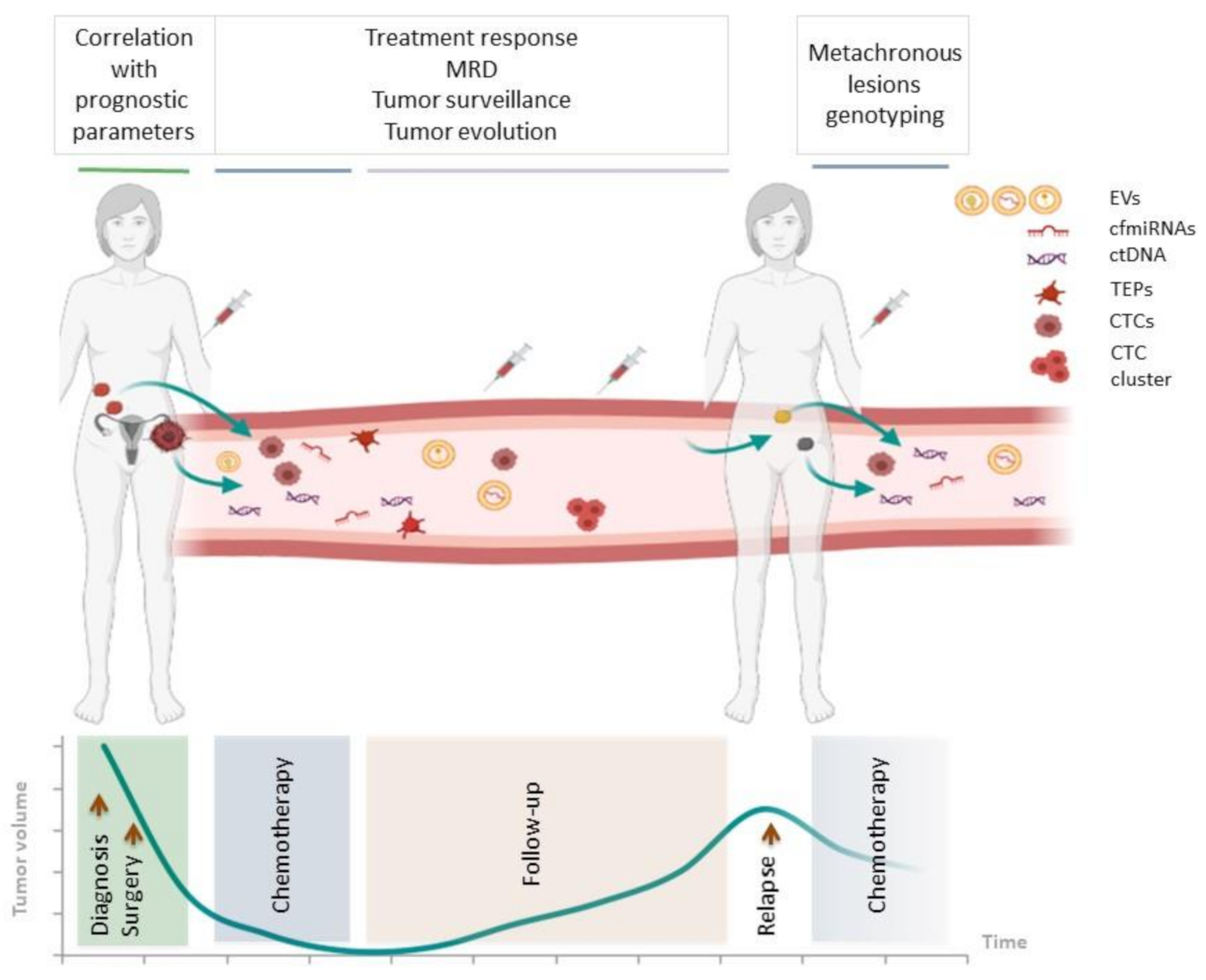 Cancers Free Full Text Liquid Biopsy In The Clinical Management Of High Grade Serous Epithelial Ovarian Cancer Current Use And Future Opportunities Html