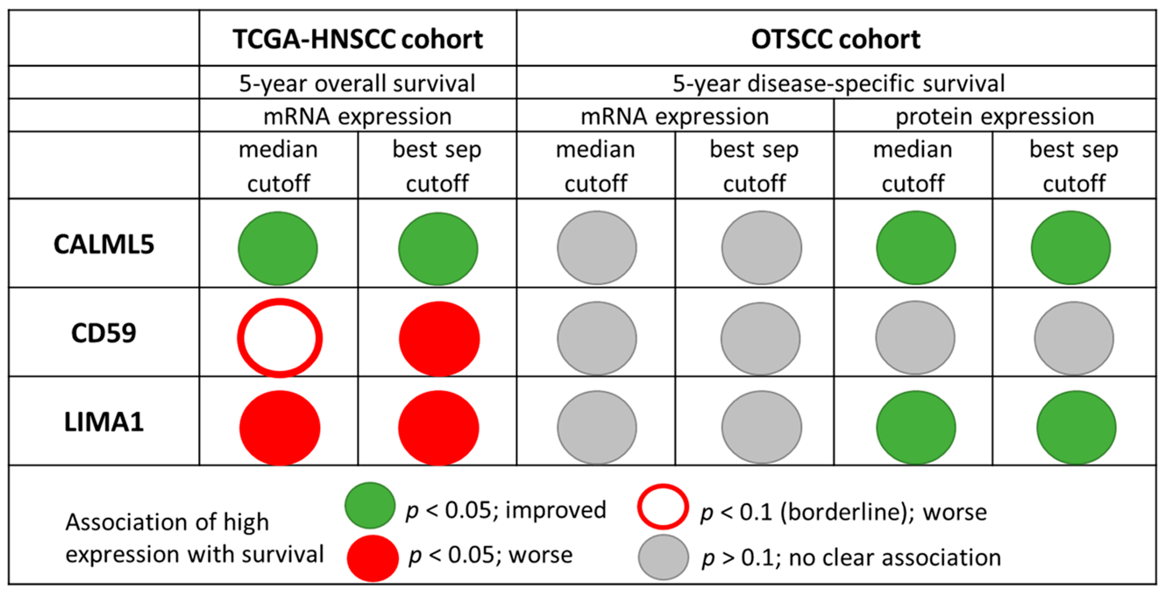 Cancers 13 02387 g001 Cancers 13 02387 g001