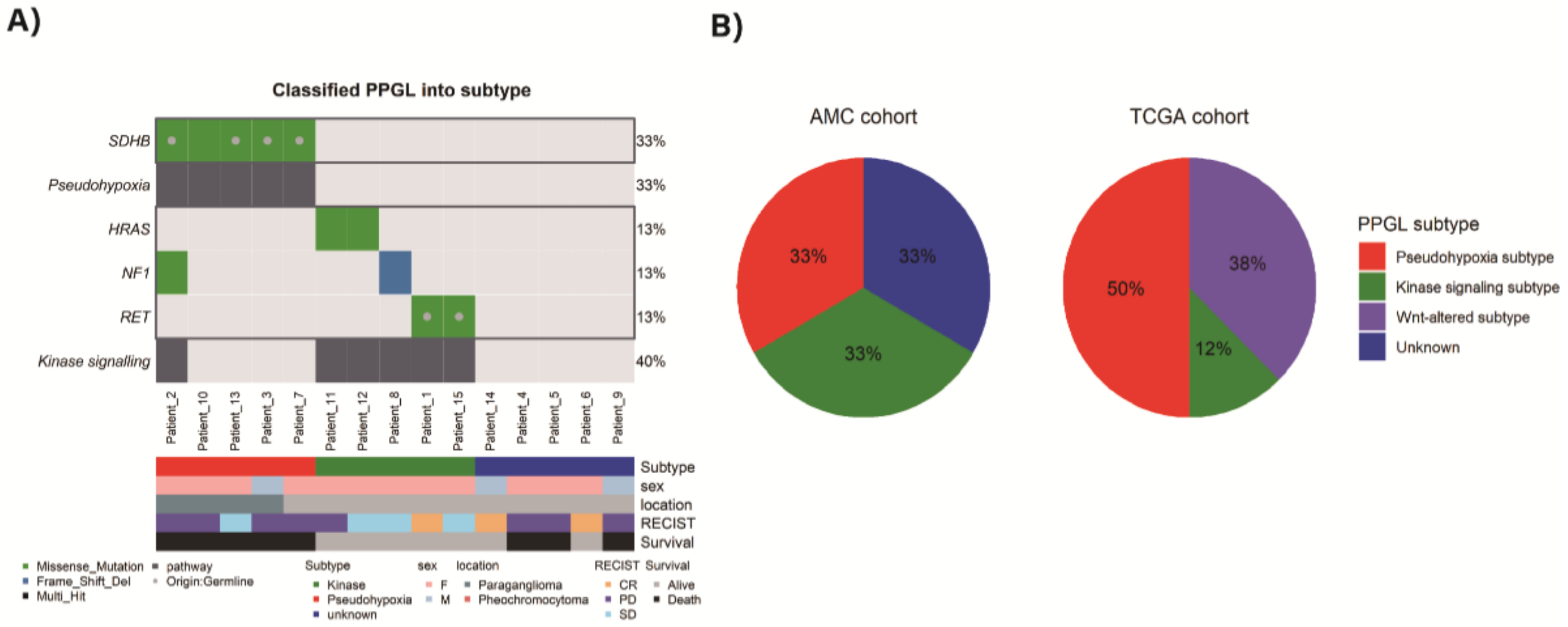 Cancers 13 02389 g002