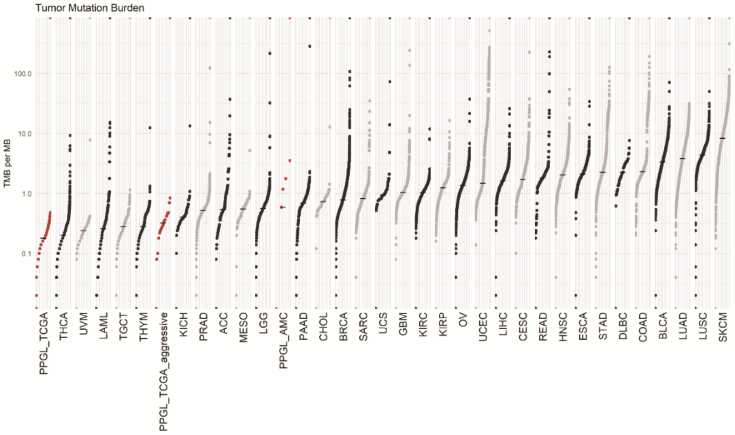 Cancers 13 02389 g004