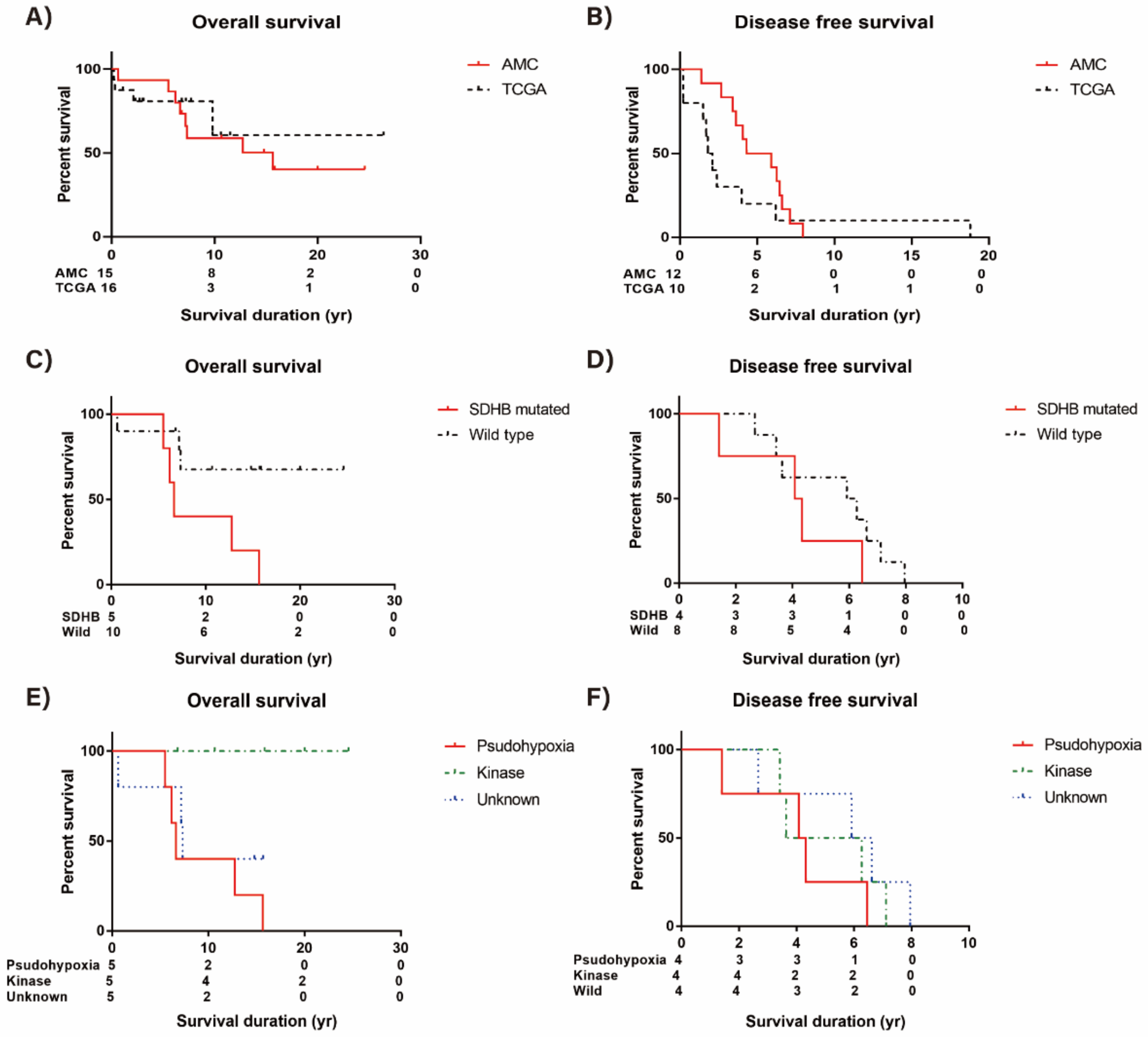 Cancers 13 02389 g005