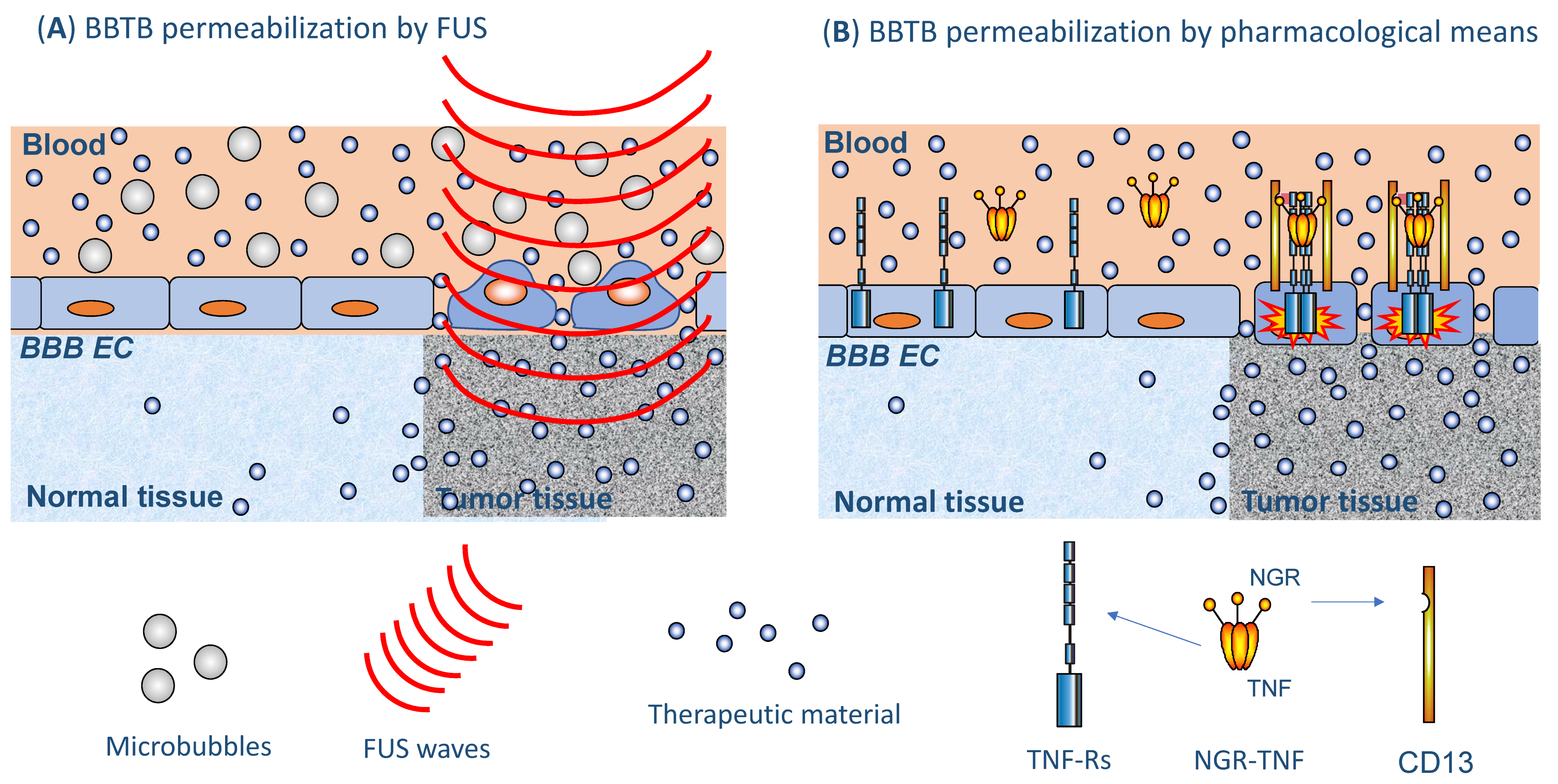 Cancers 13 02391 g002 Cancers 13 02391 g002