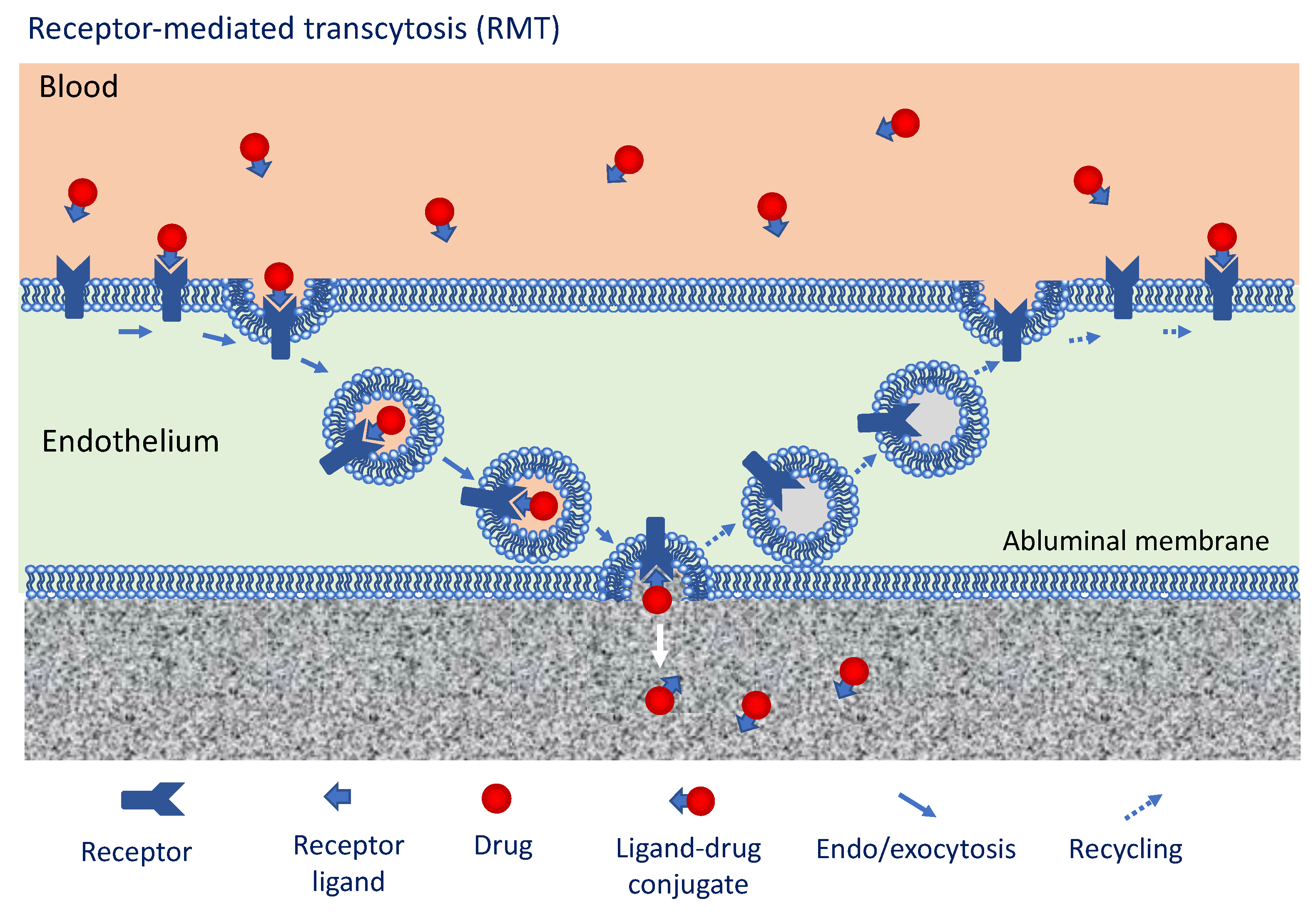 Cancers 13 02391 g003 Cancers 13 02391 g003