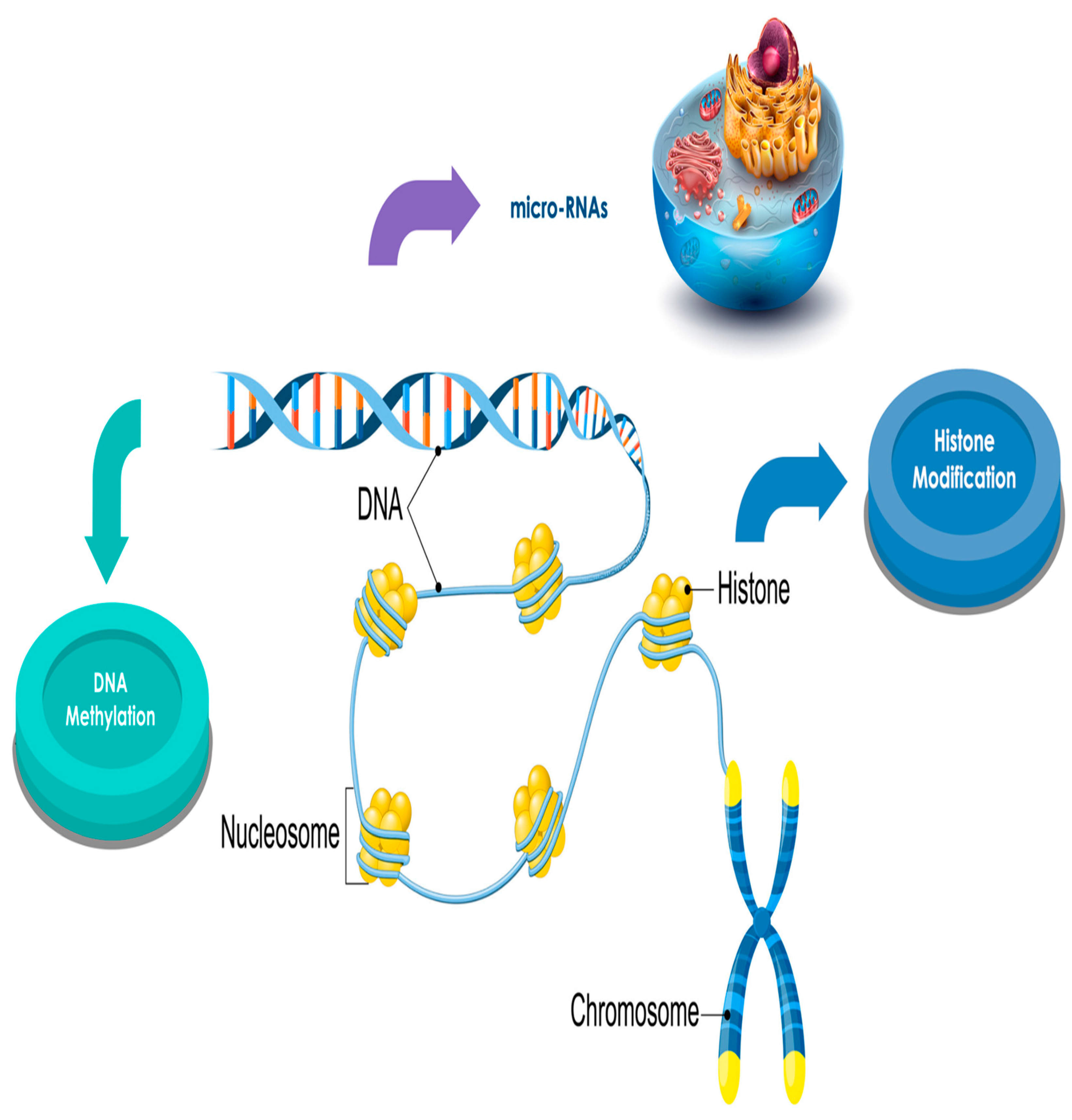 Cancers 13 02392 g003 Cancers 13 02392 g003