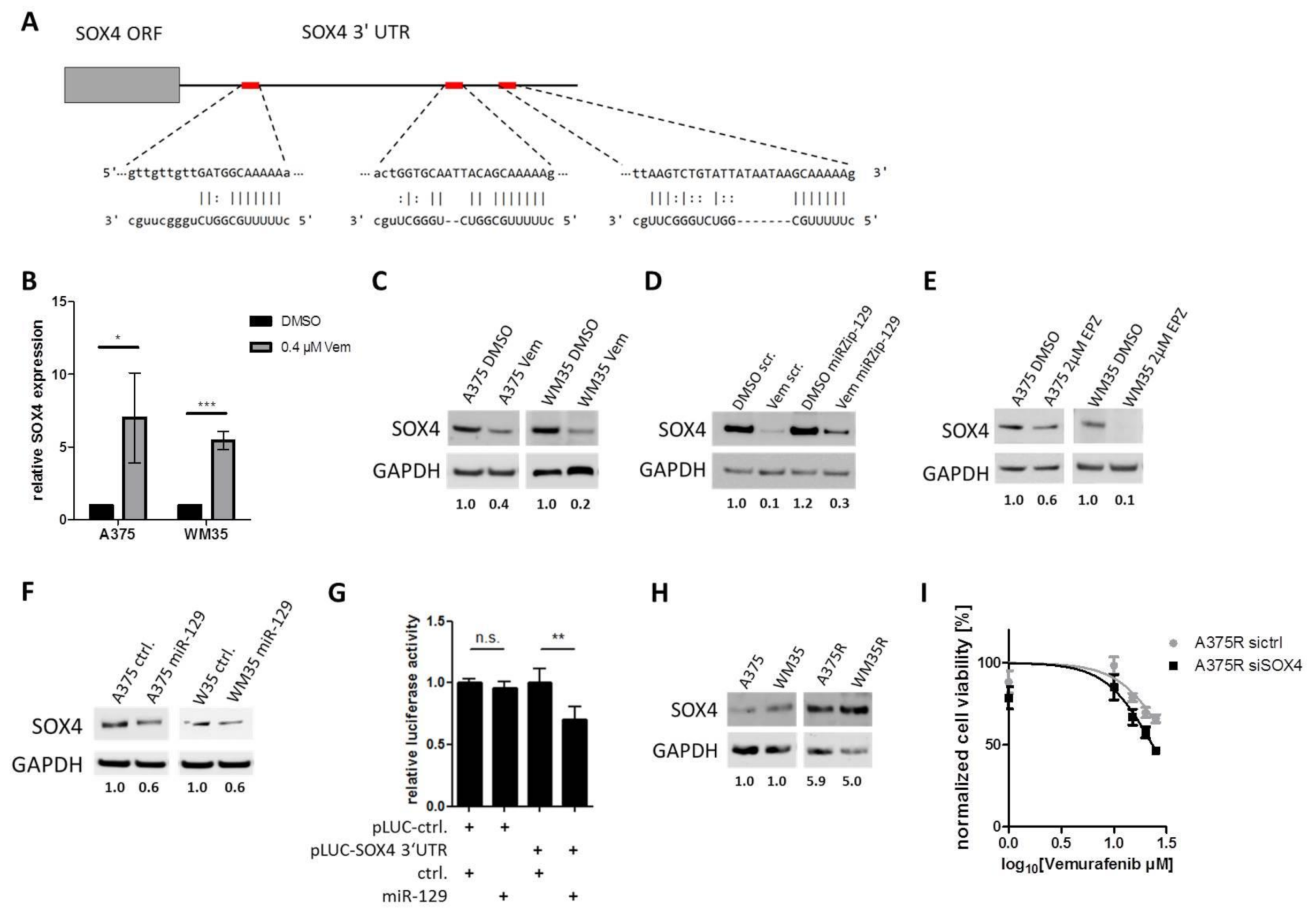 Cancers 13 02393 g005 Cancers 13 02393 g005