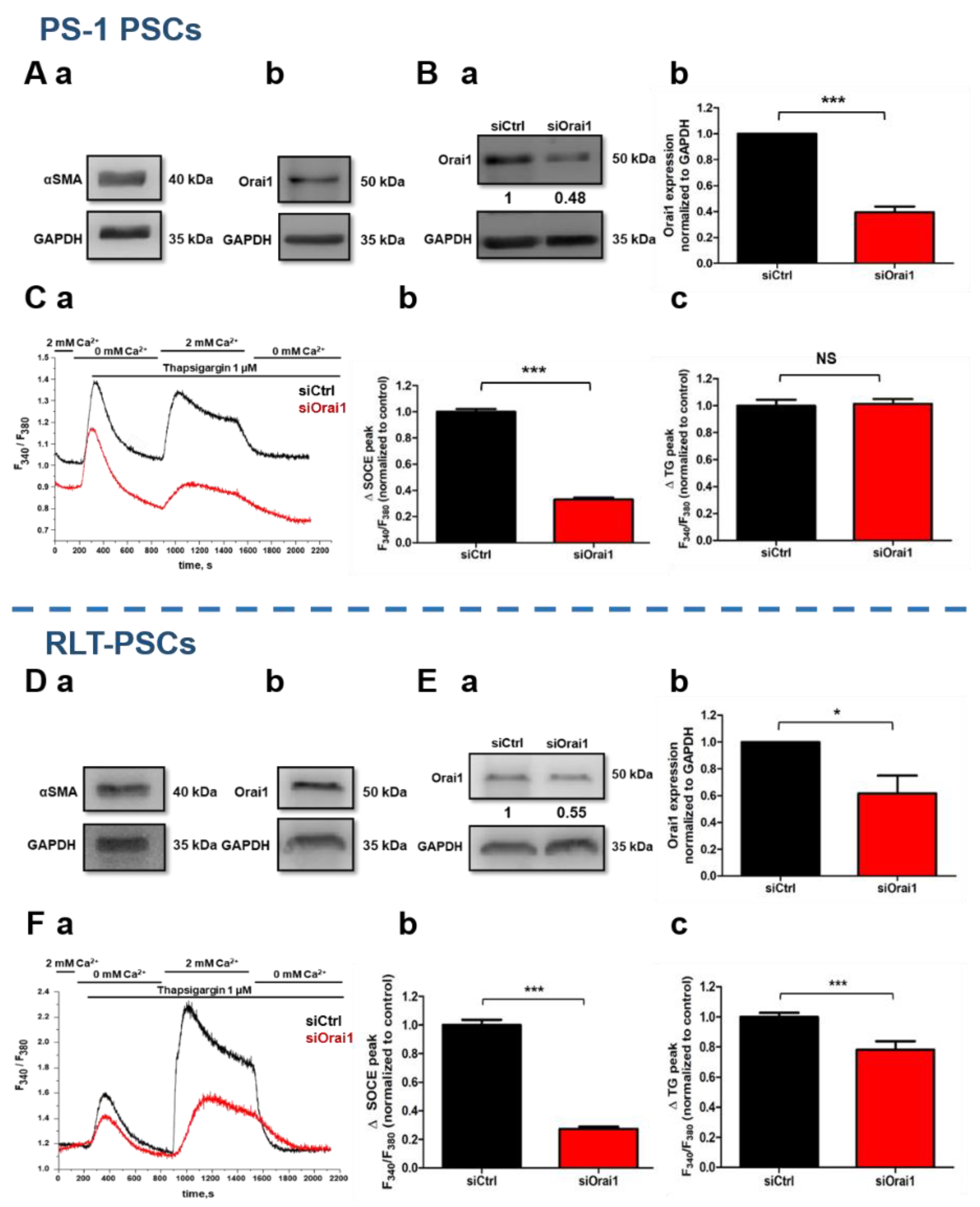Cancers 13 02395 g001