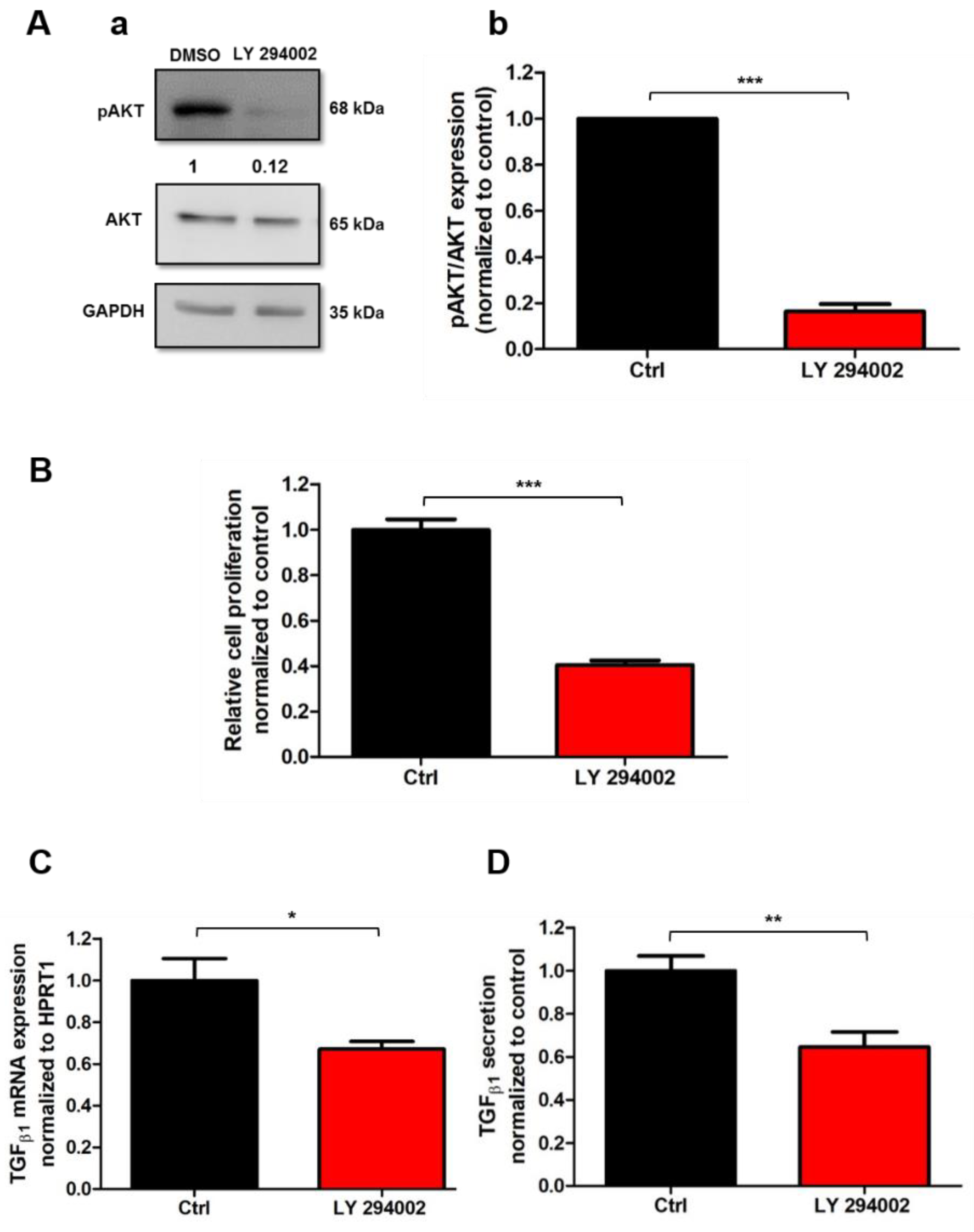 Cancers 13 02395 g004