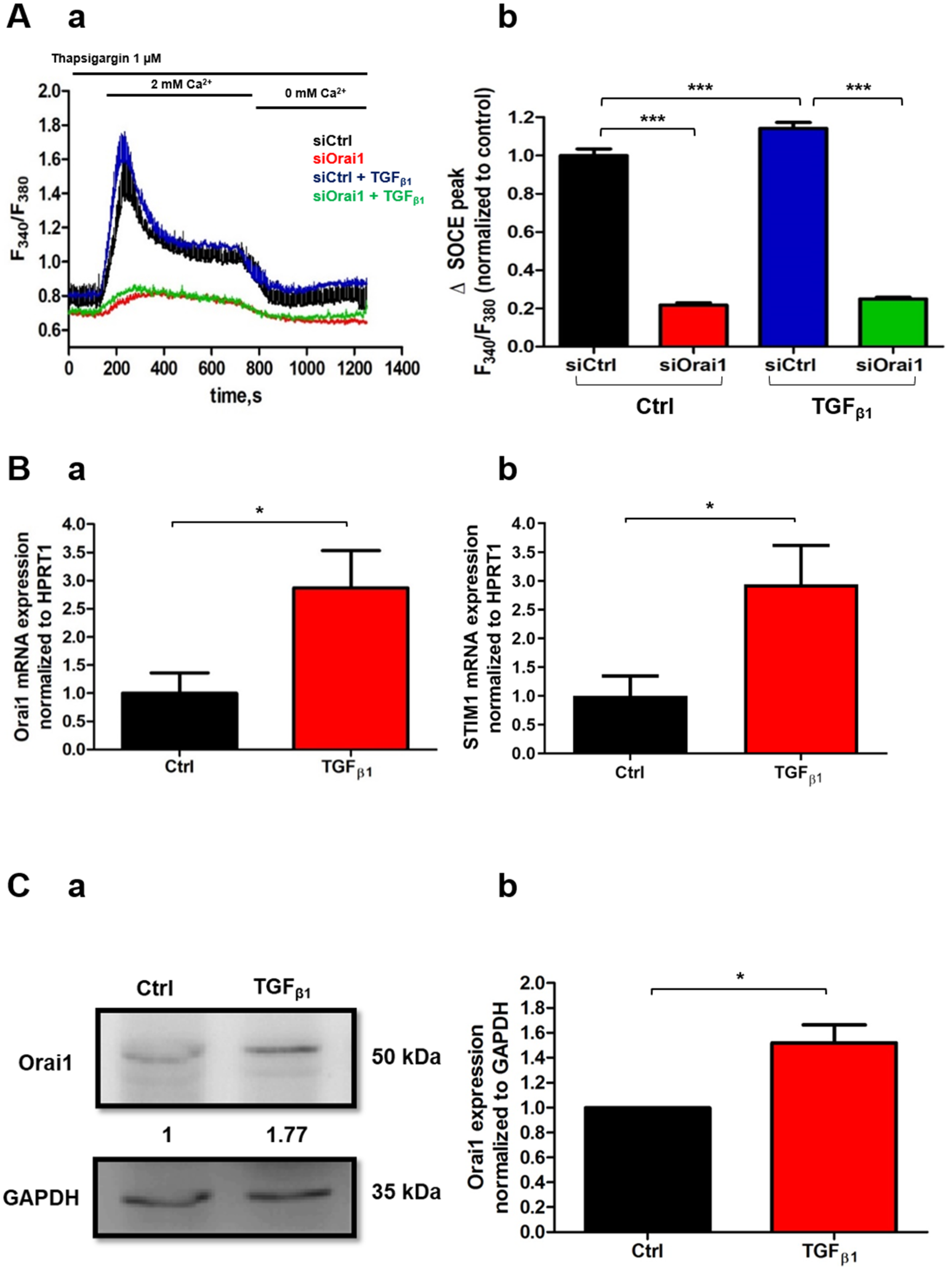 Cancers 13 02395 g005