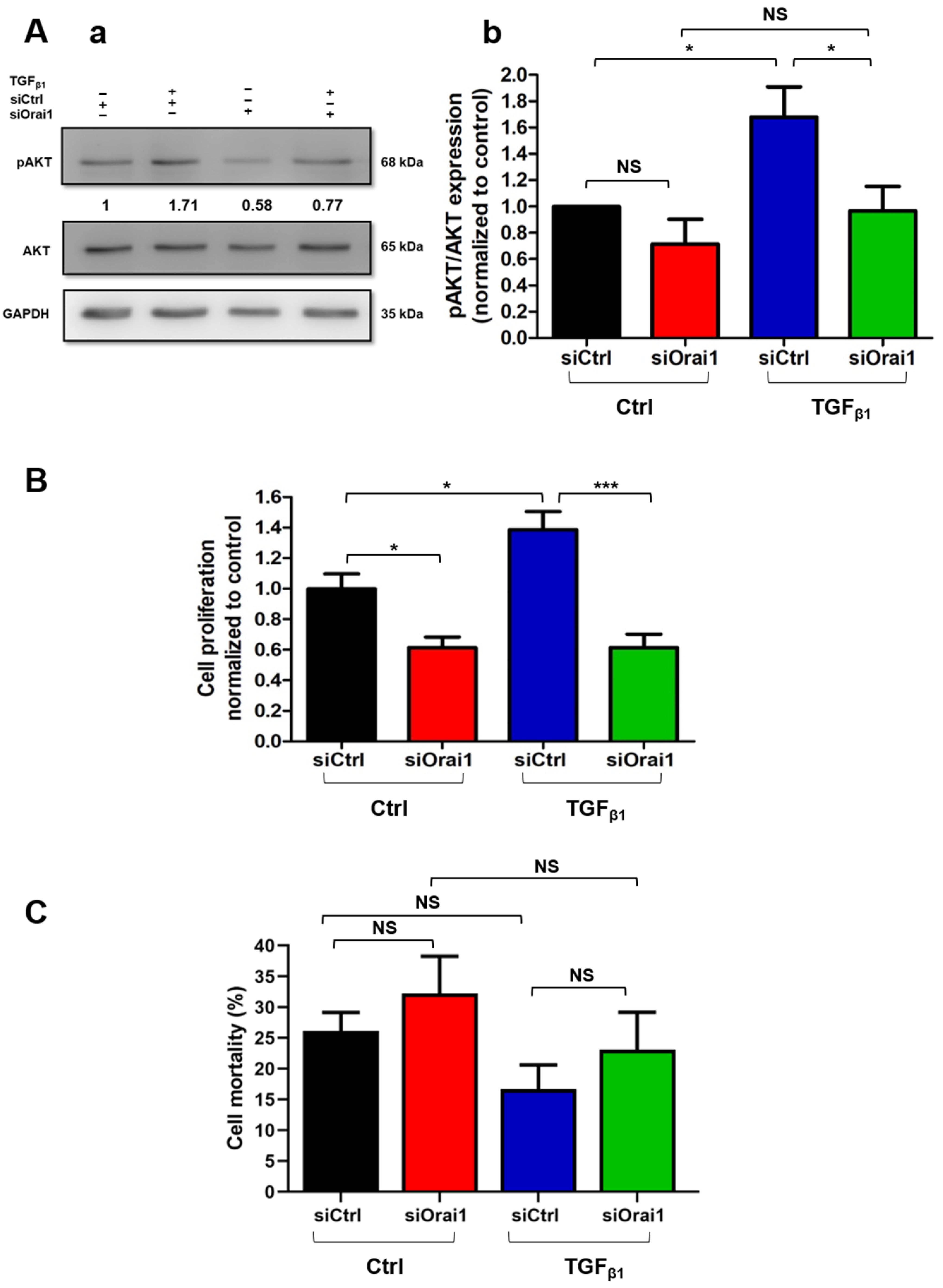 Cancers 13 02395 g006