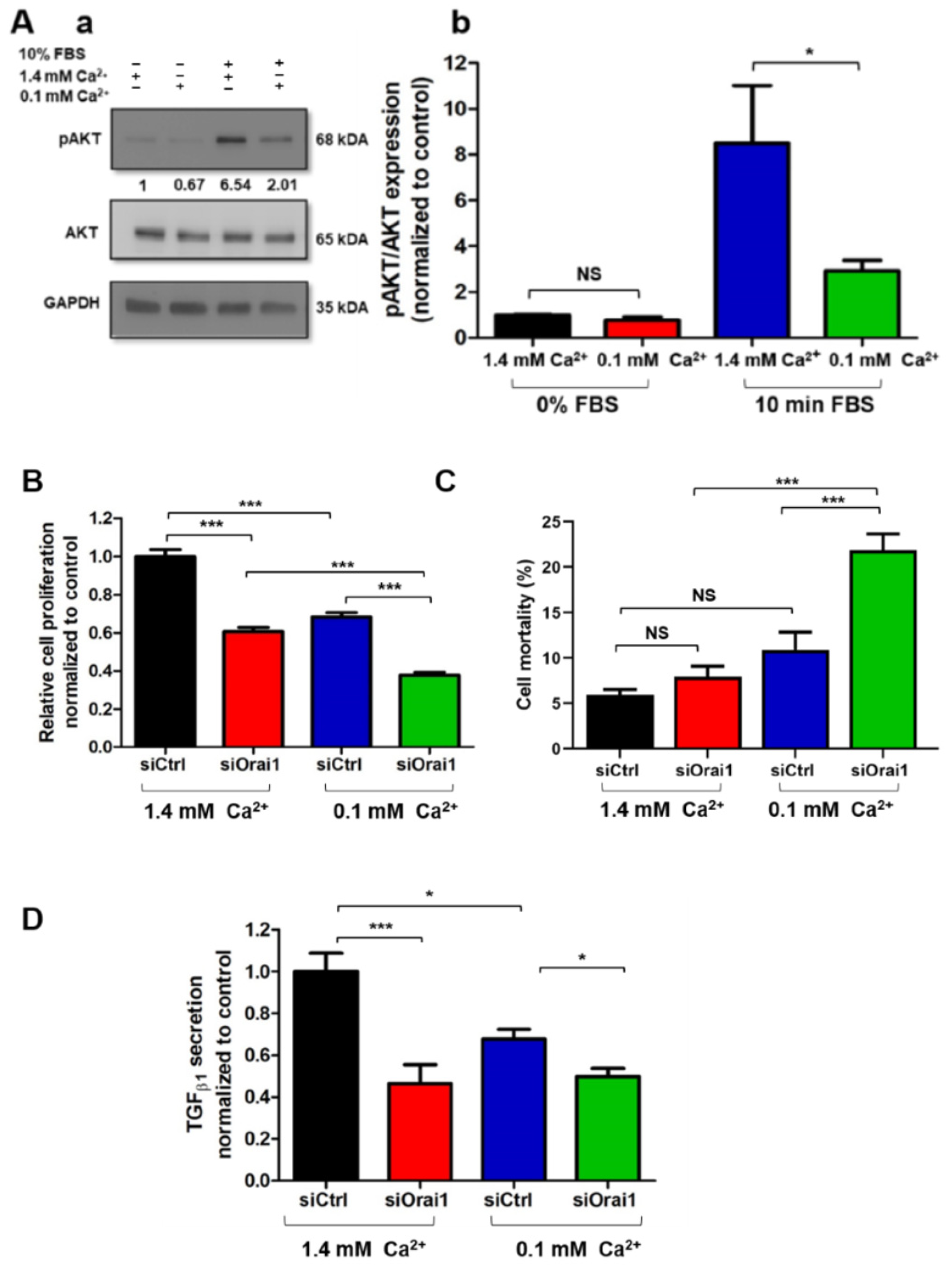 Cancers 13 02395 g007