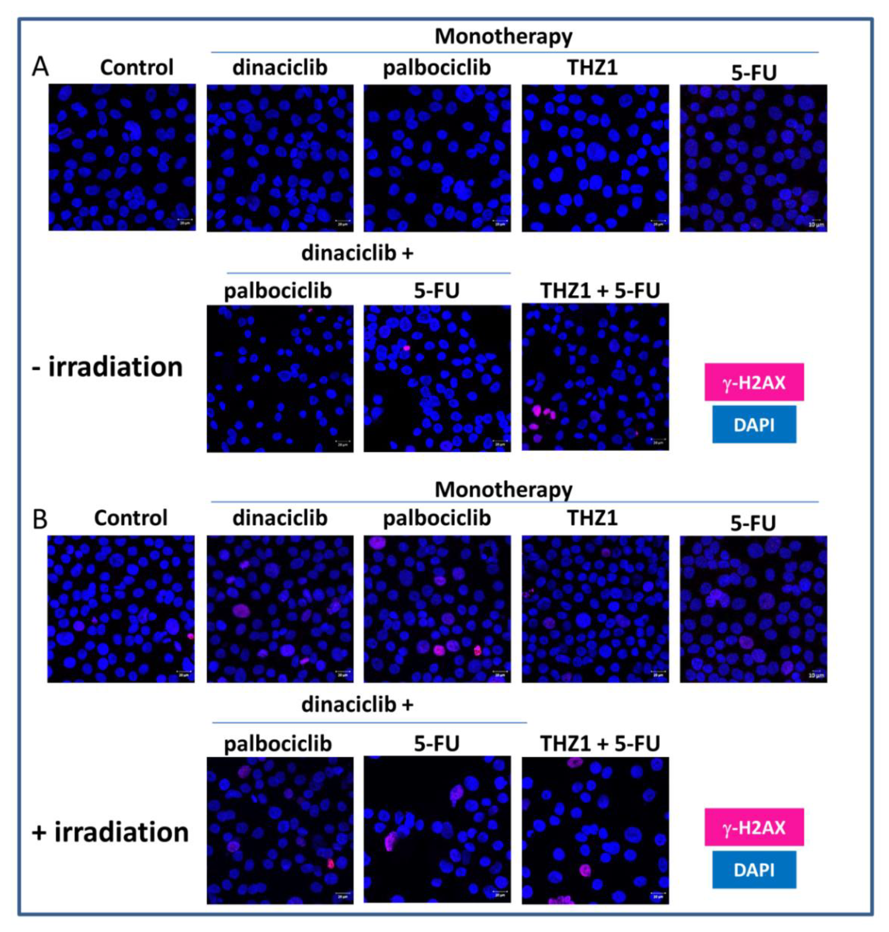 Cancers 13 02396 g004