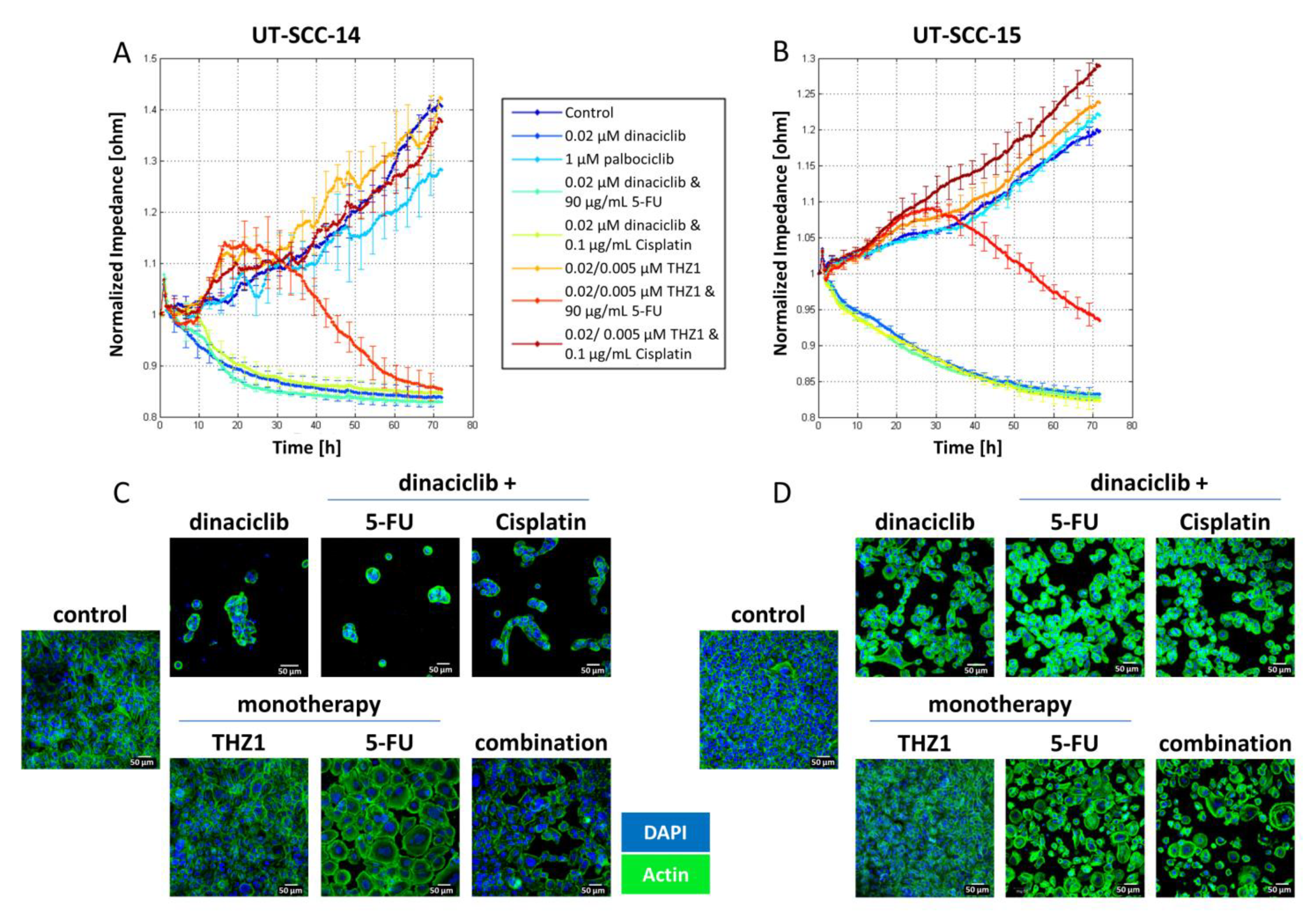 Cancers 13 02396 g005