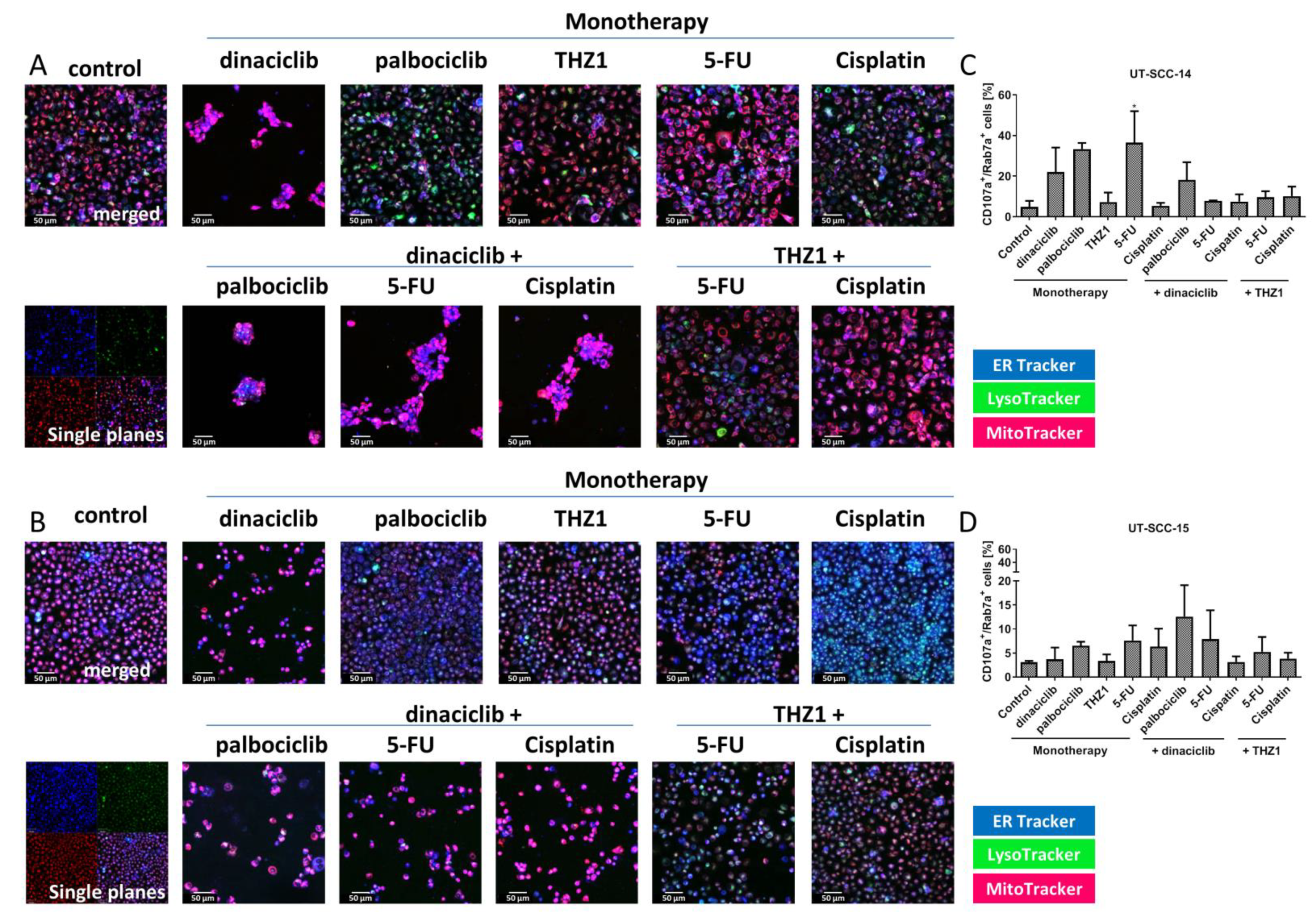 Cancers 13 02396 g006