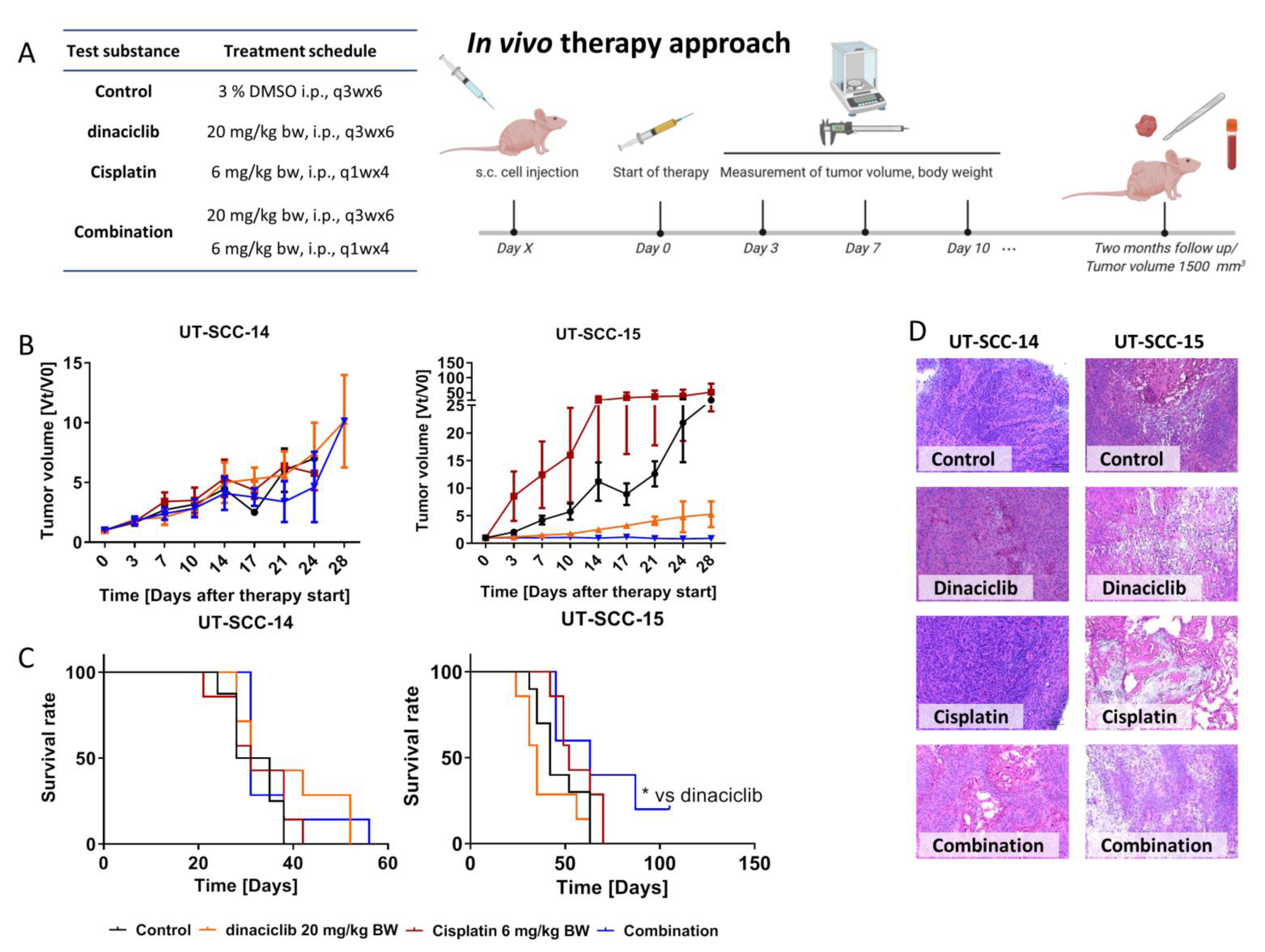 Cancers 13 02396 g007