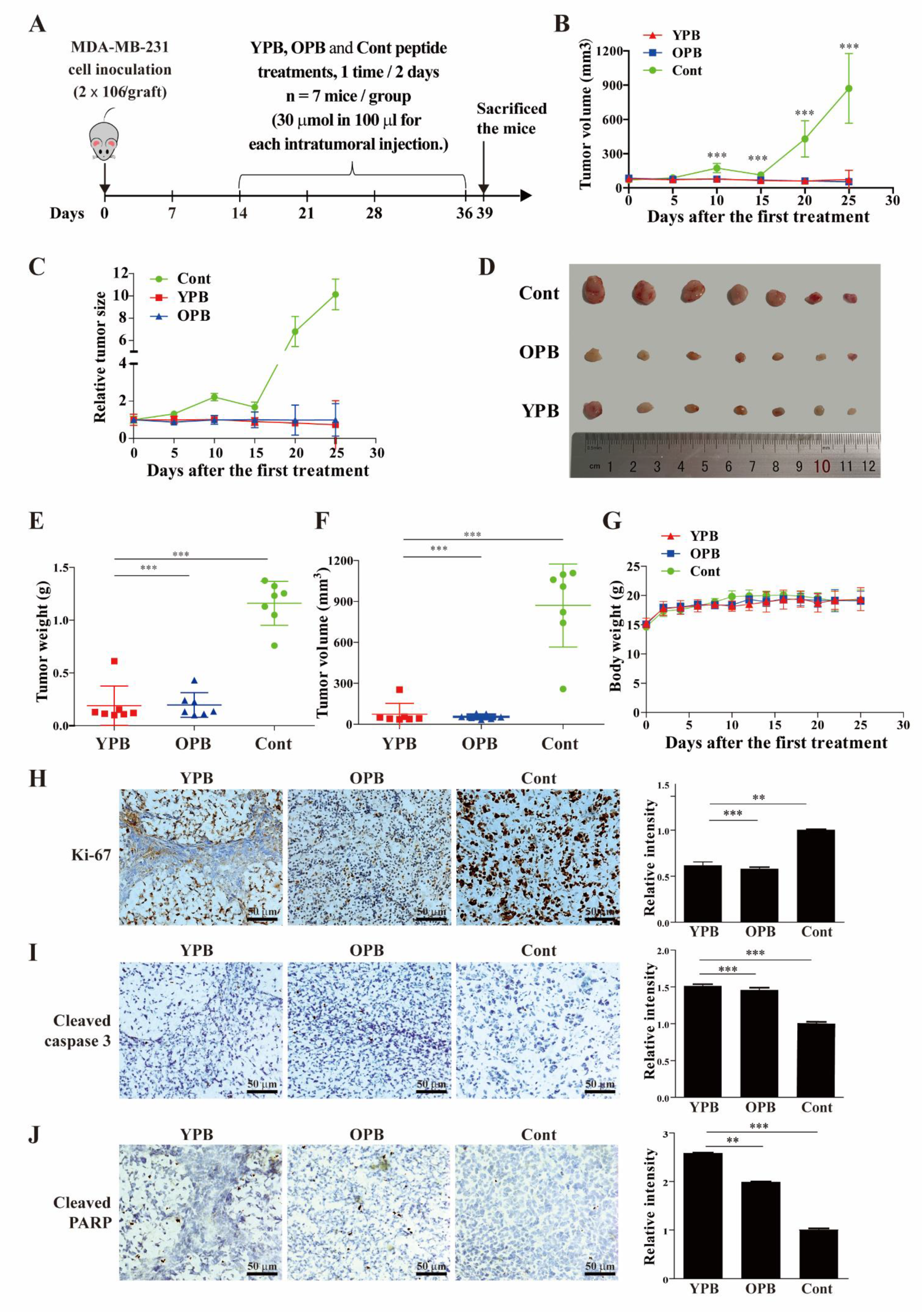 Cancers 13 02402 g005 Cancers 13 02402 g005