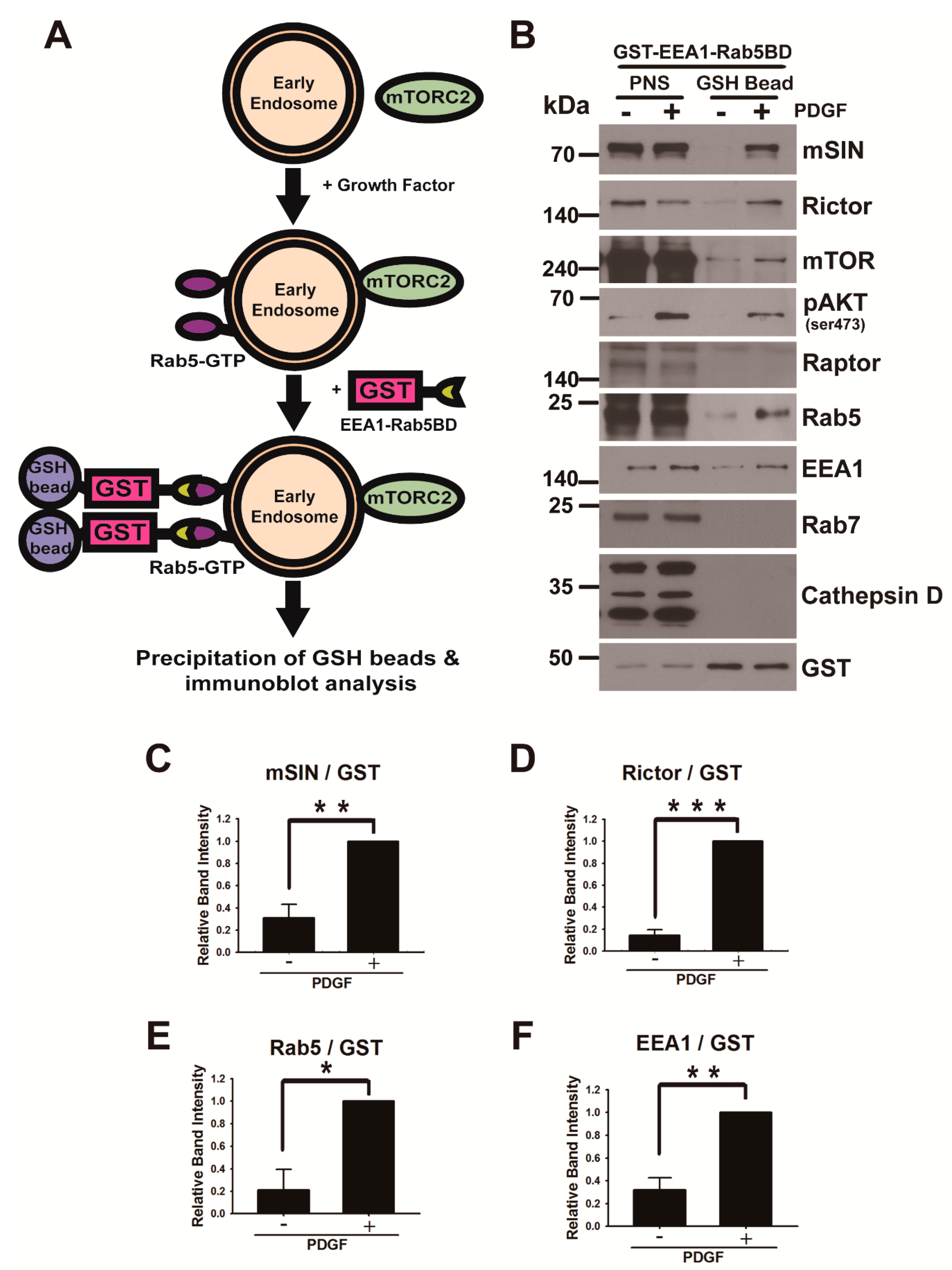 Cancers 13 02405 g003 Cancers 13 02405 g003
