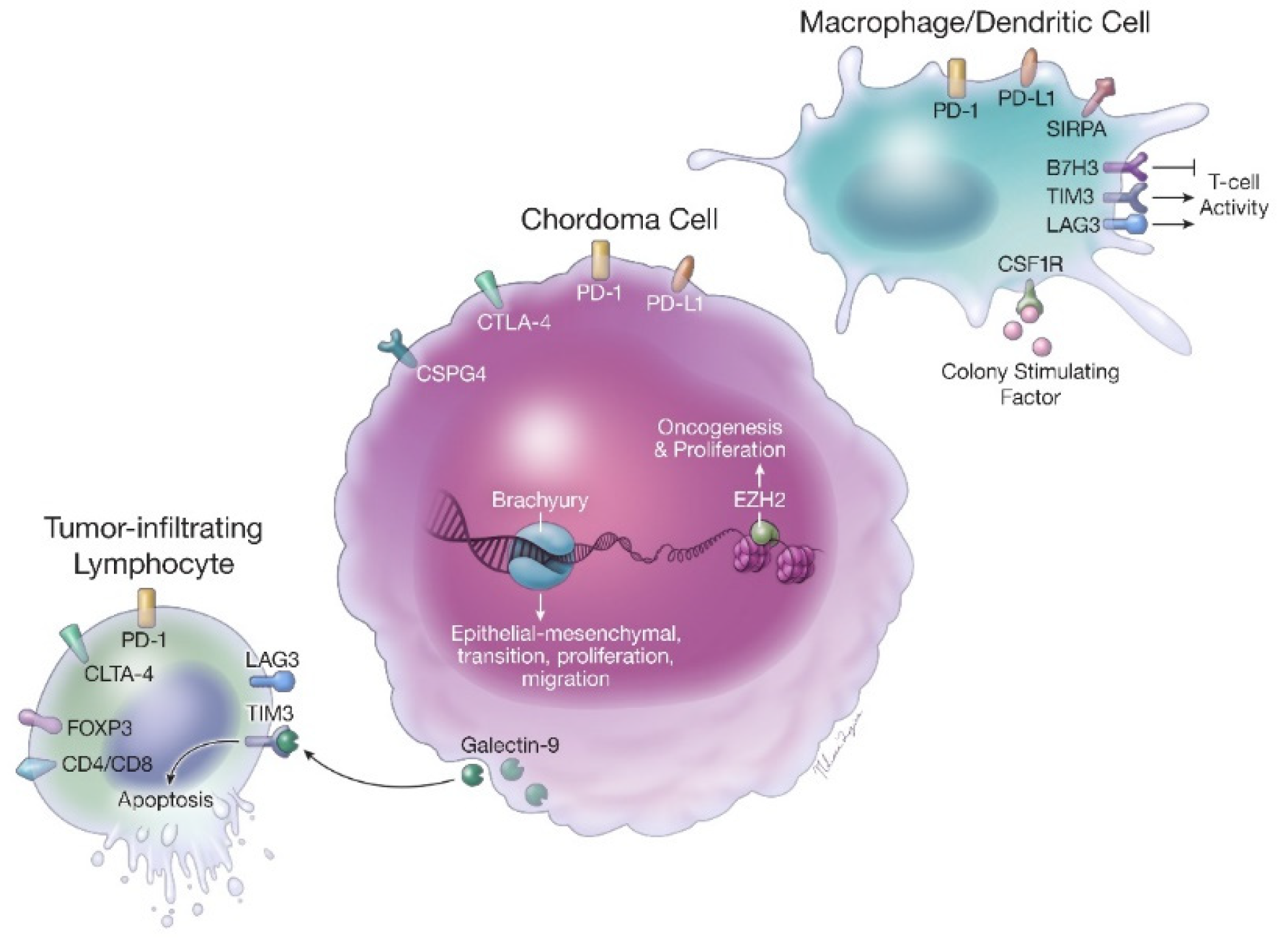 Cancers 13 02408 g001 Cancers 13 02408 g001