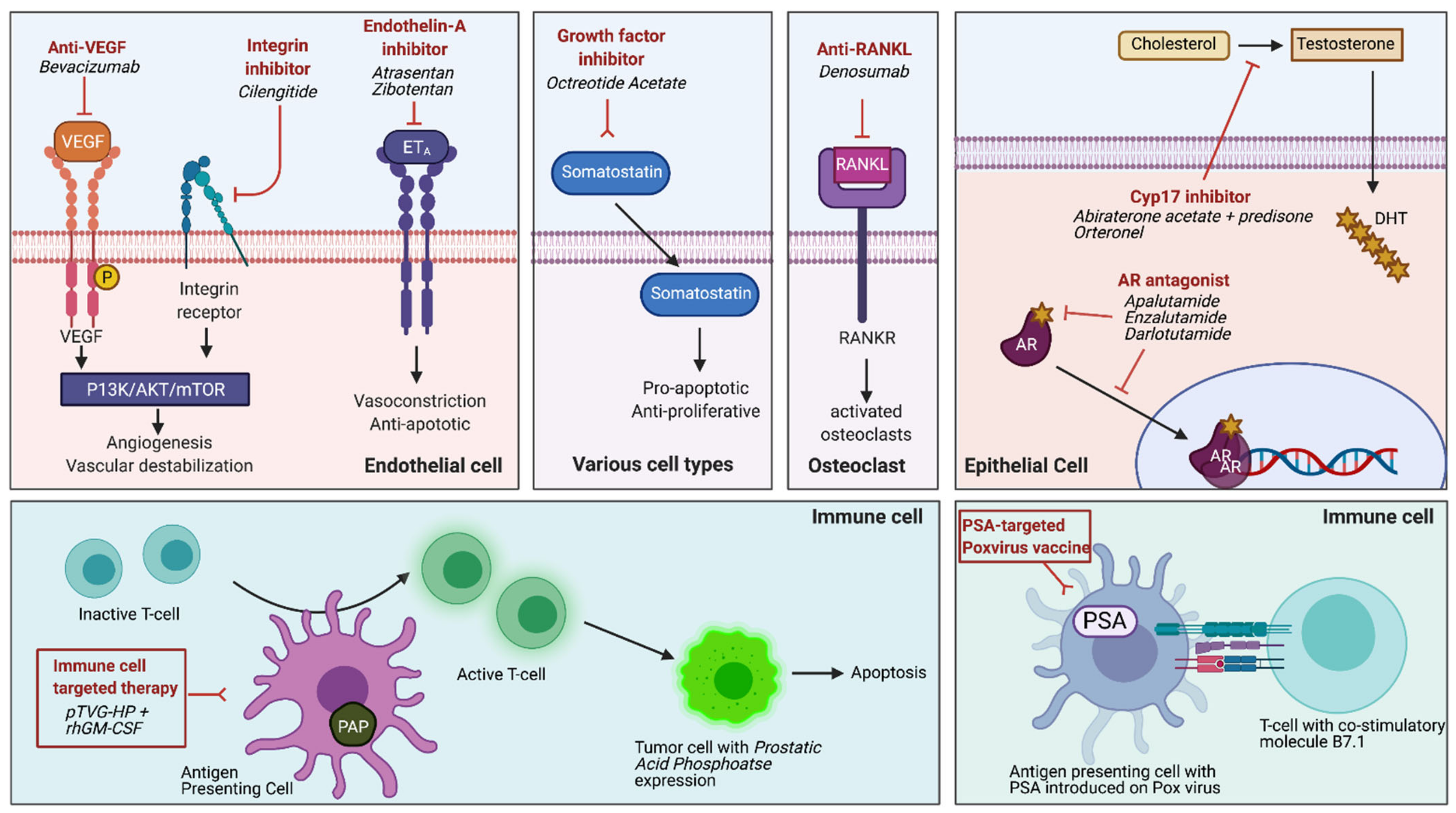 Cancers 13 02426 g001 Cancers 13 02426 g001