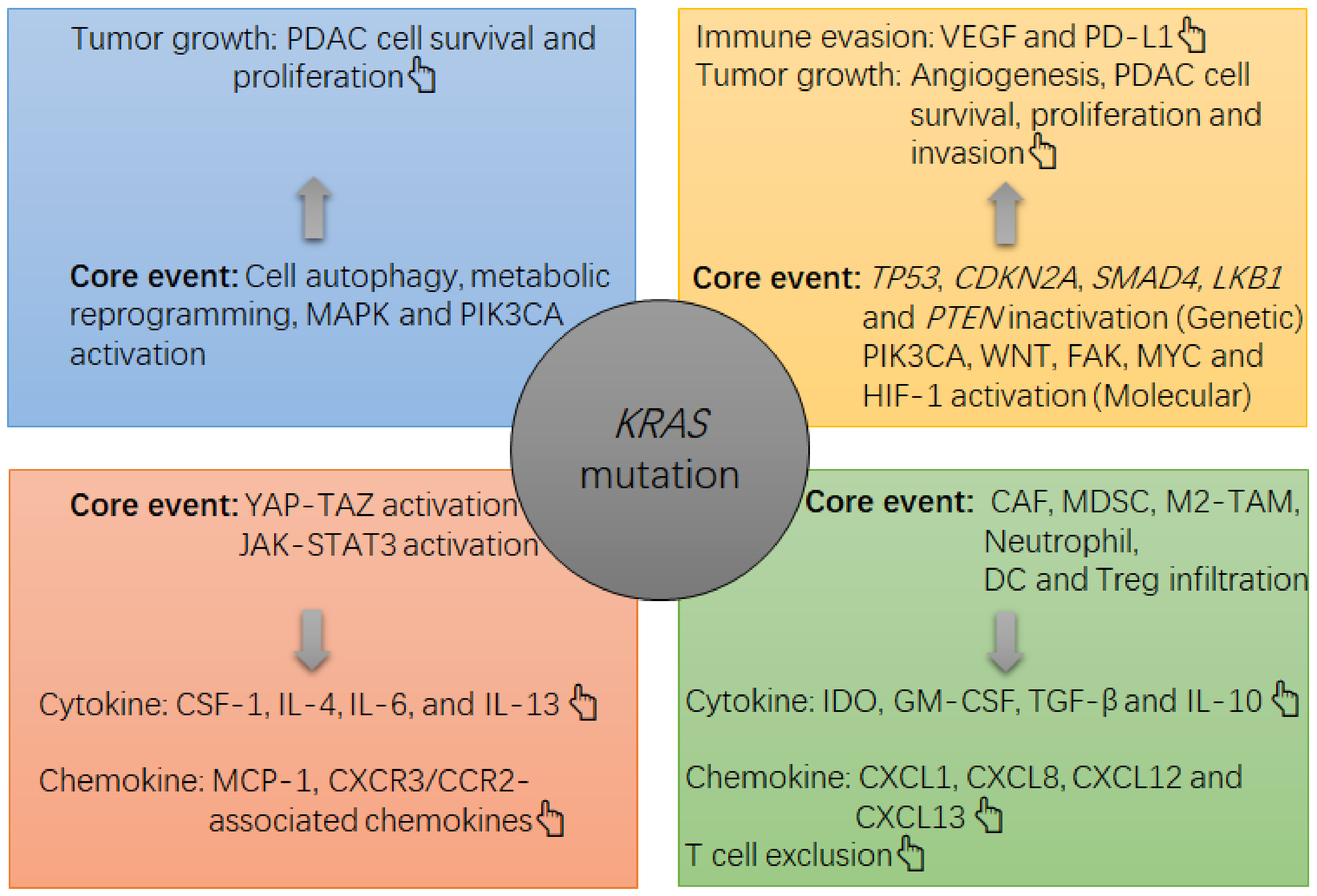 Cancers 13 02429 g001 Cancers 13 02429 g001