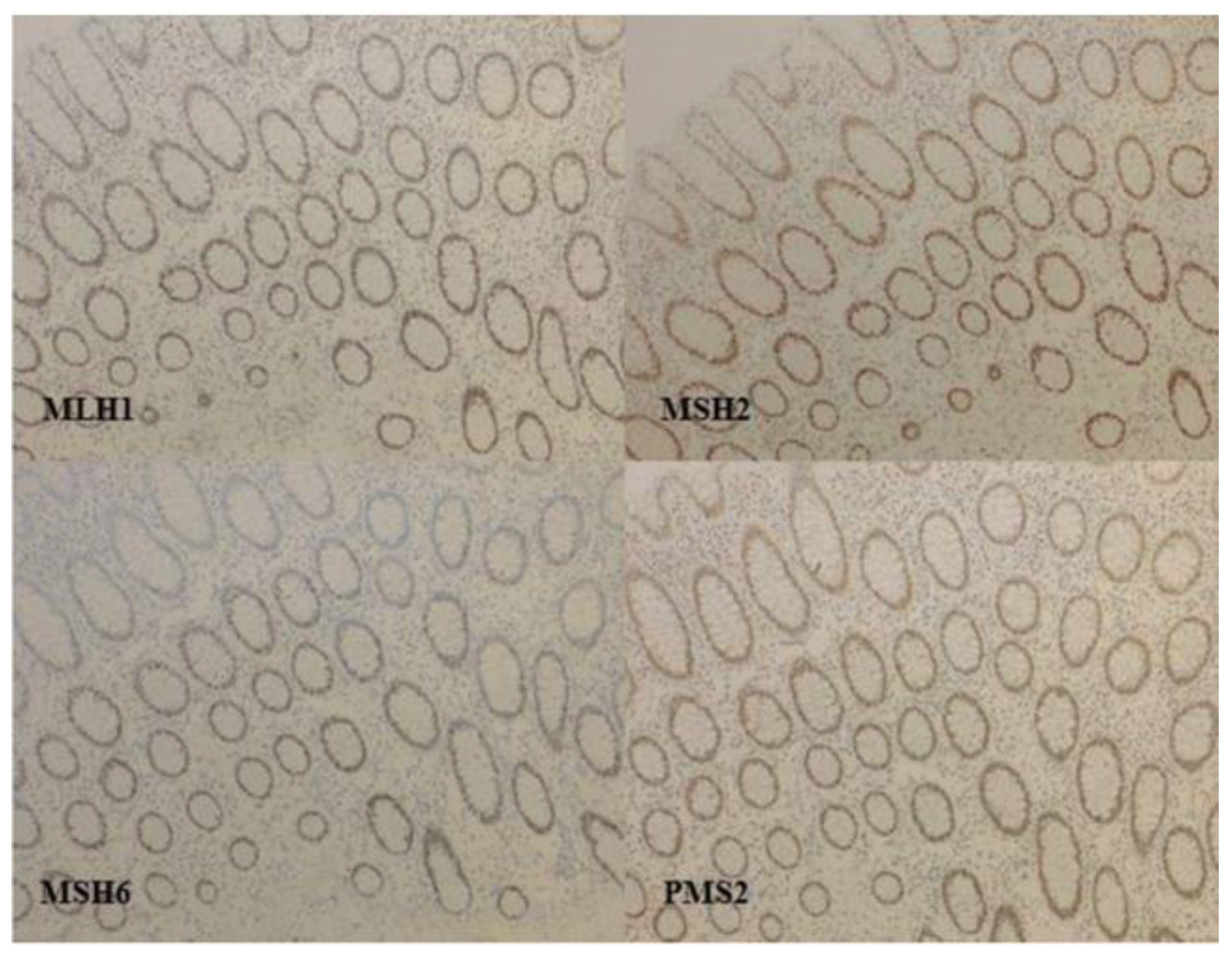 Cancers 13 02434 g001