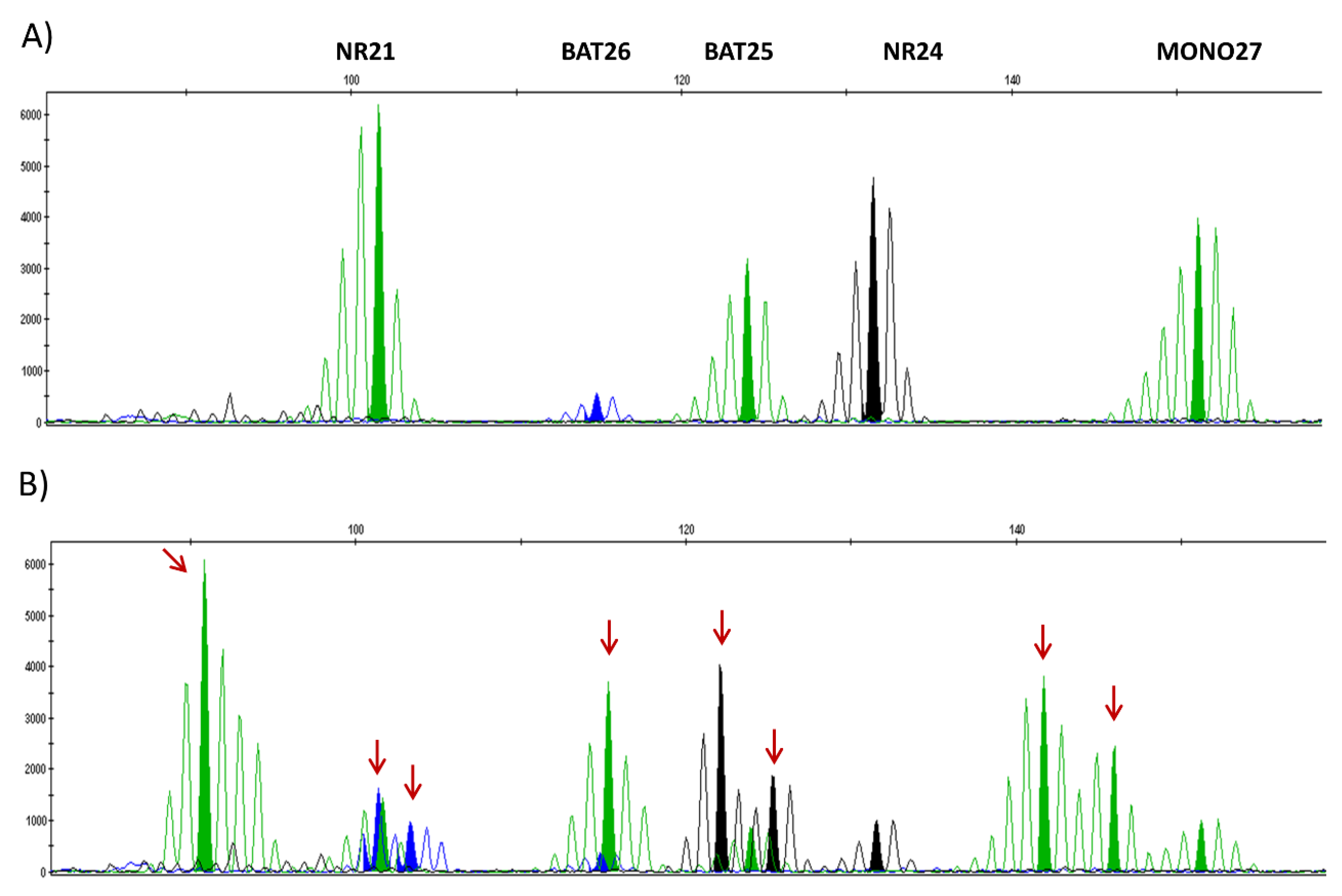 Cancers 13 02434 g002