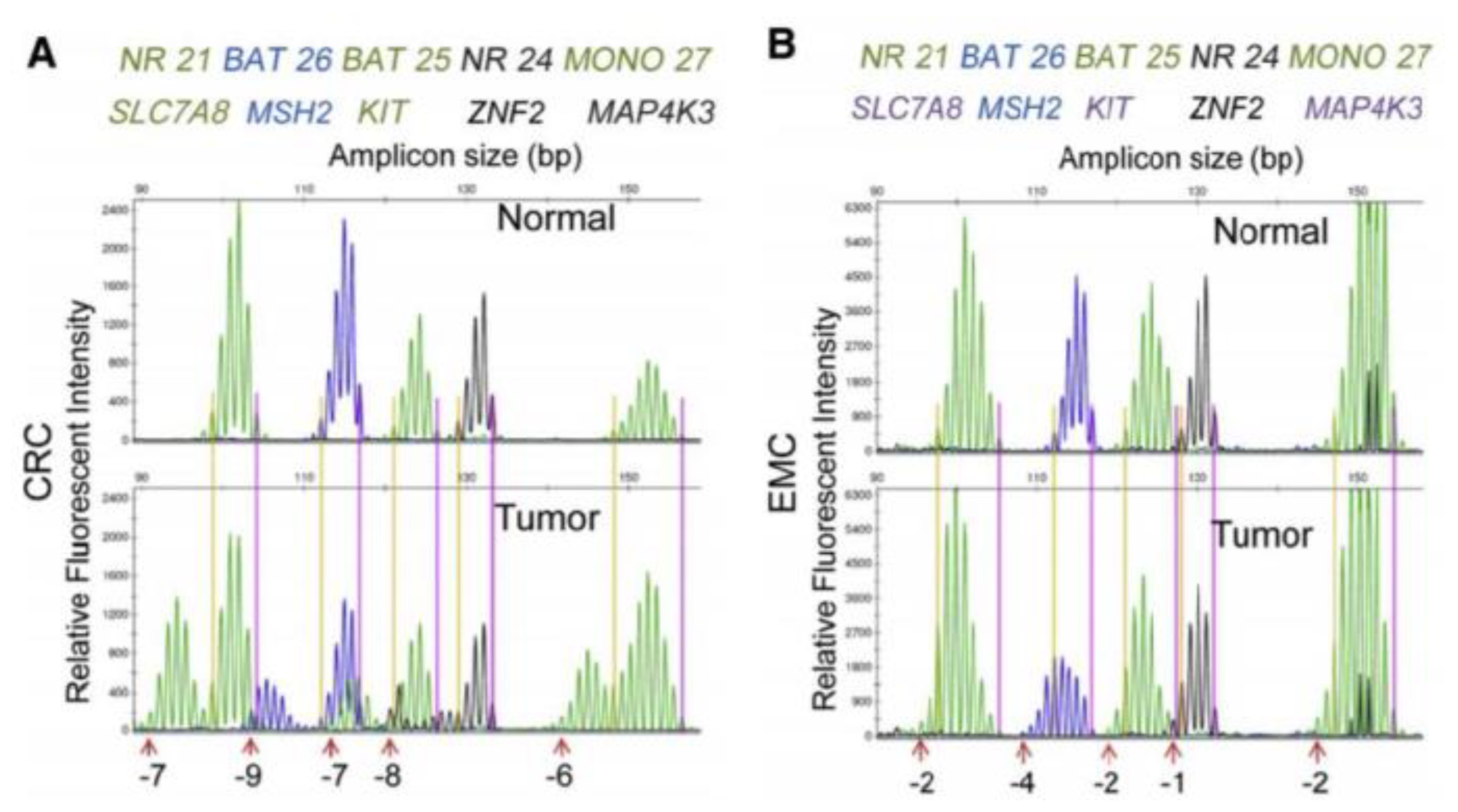 Cancers 13 02434 g003
