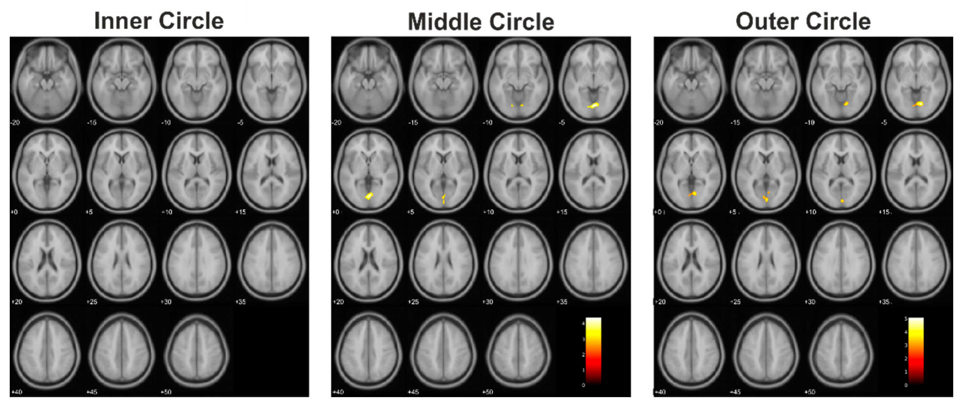 Cancers 13 02439 g003 Cancers 13 02439 g003