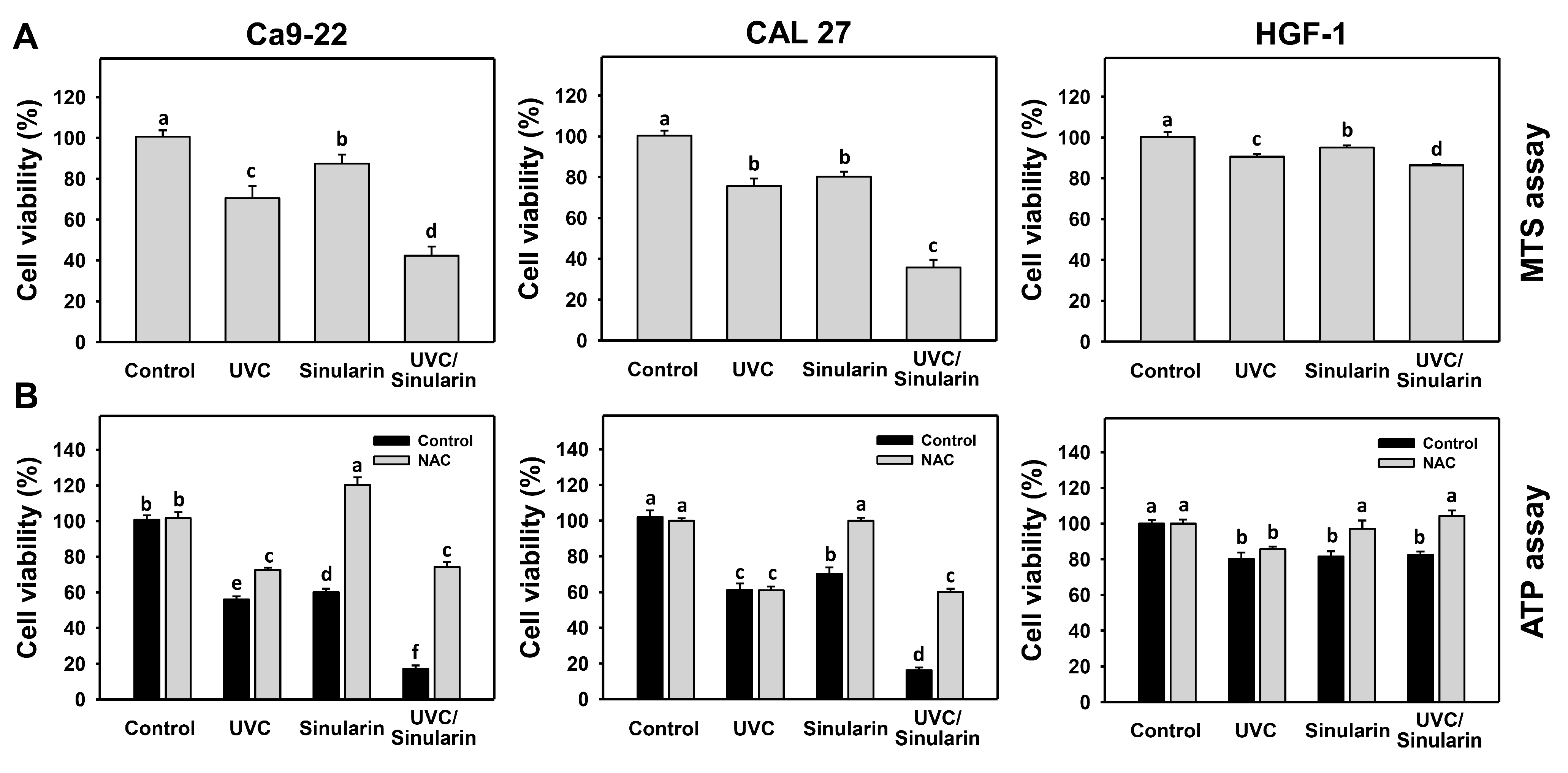 Cancers 13 02450 g001 Cancers 13 02450 g001