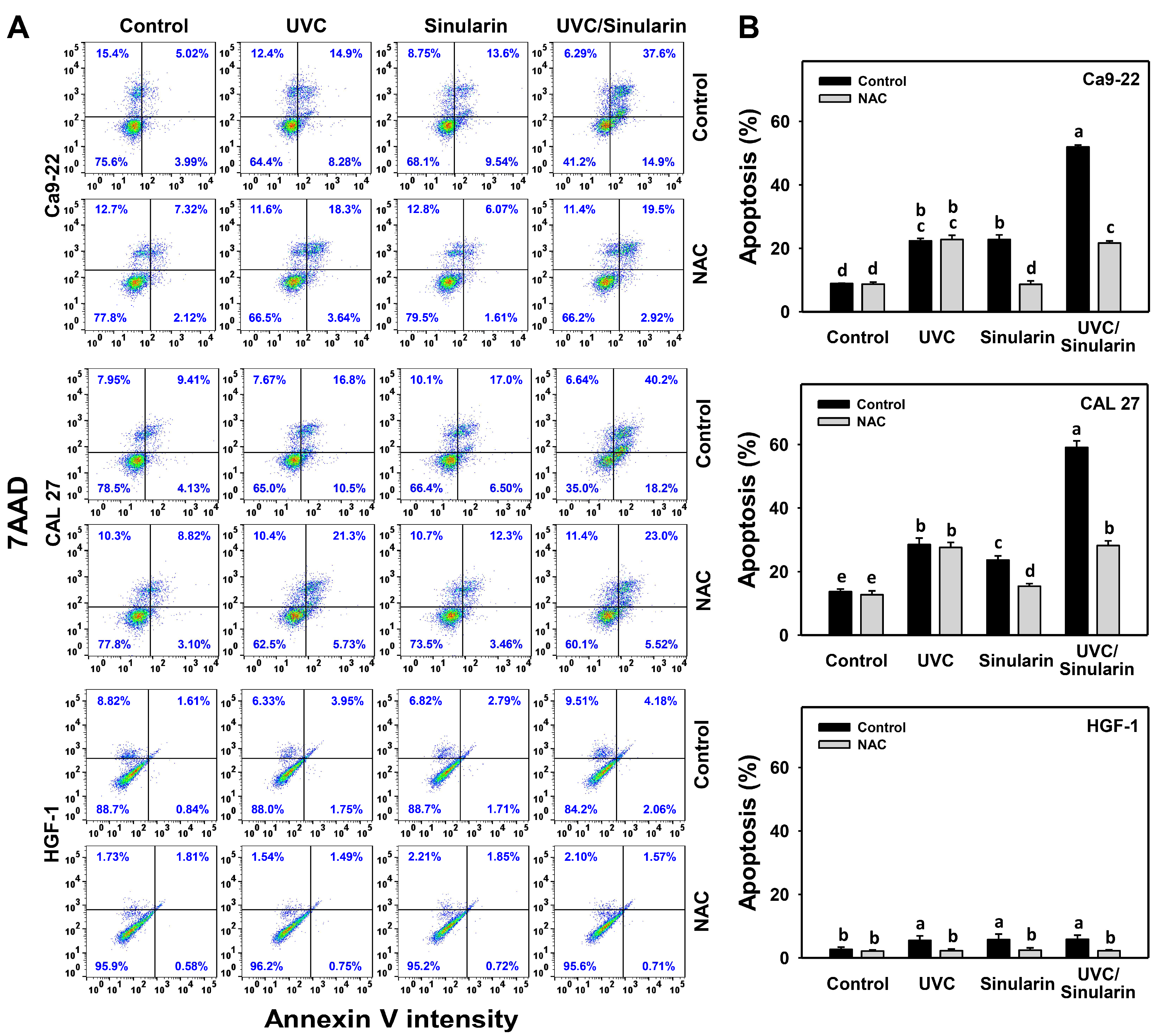Cancers 13 02450 g003 Cancers 13 02450 g003