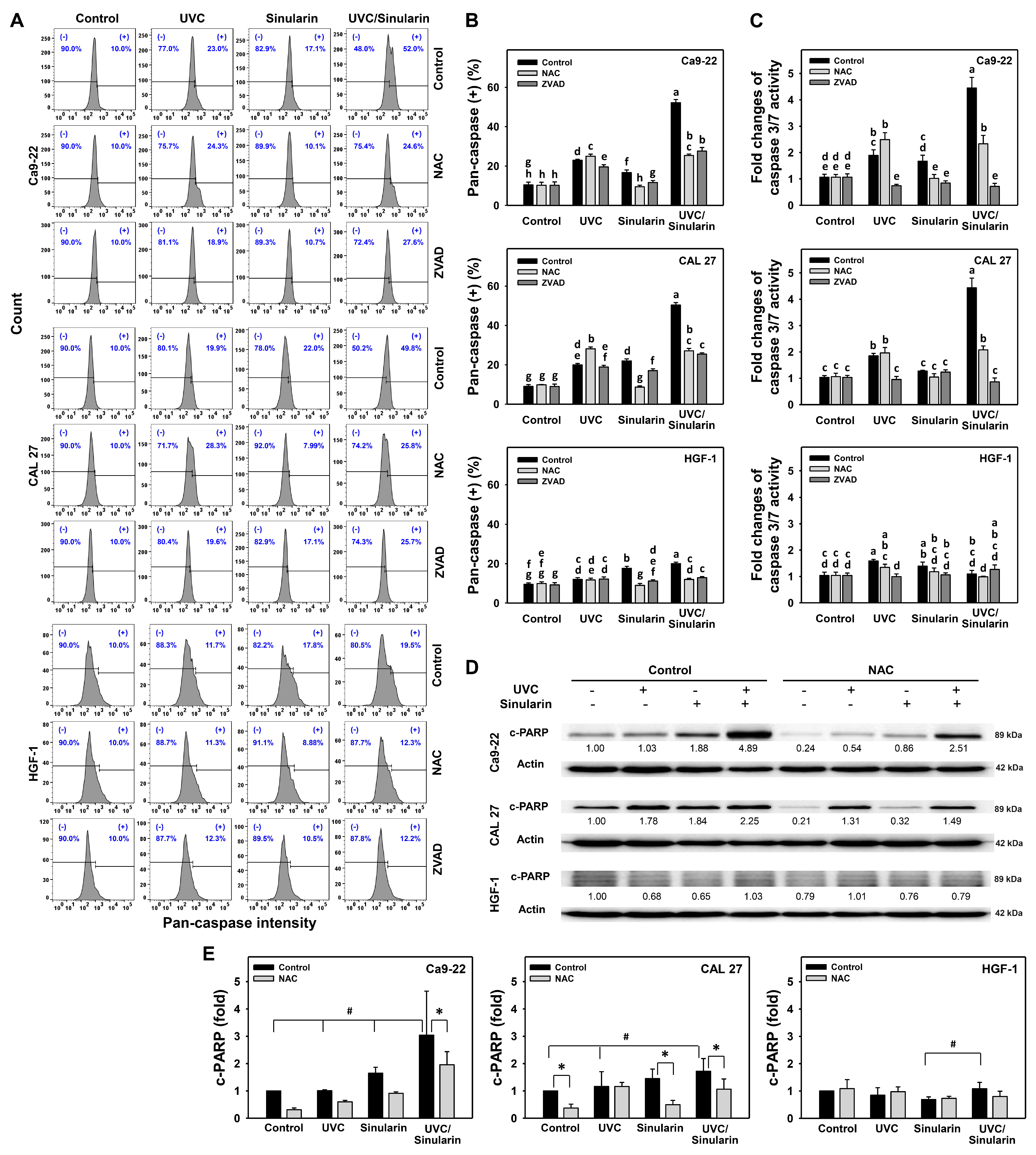 Cancers 13 02450 g004 Cancers 13 02450 g004