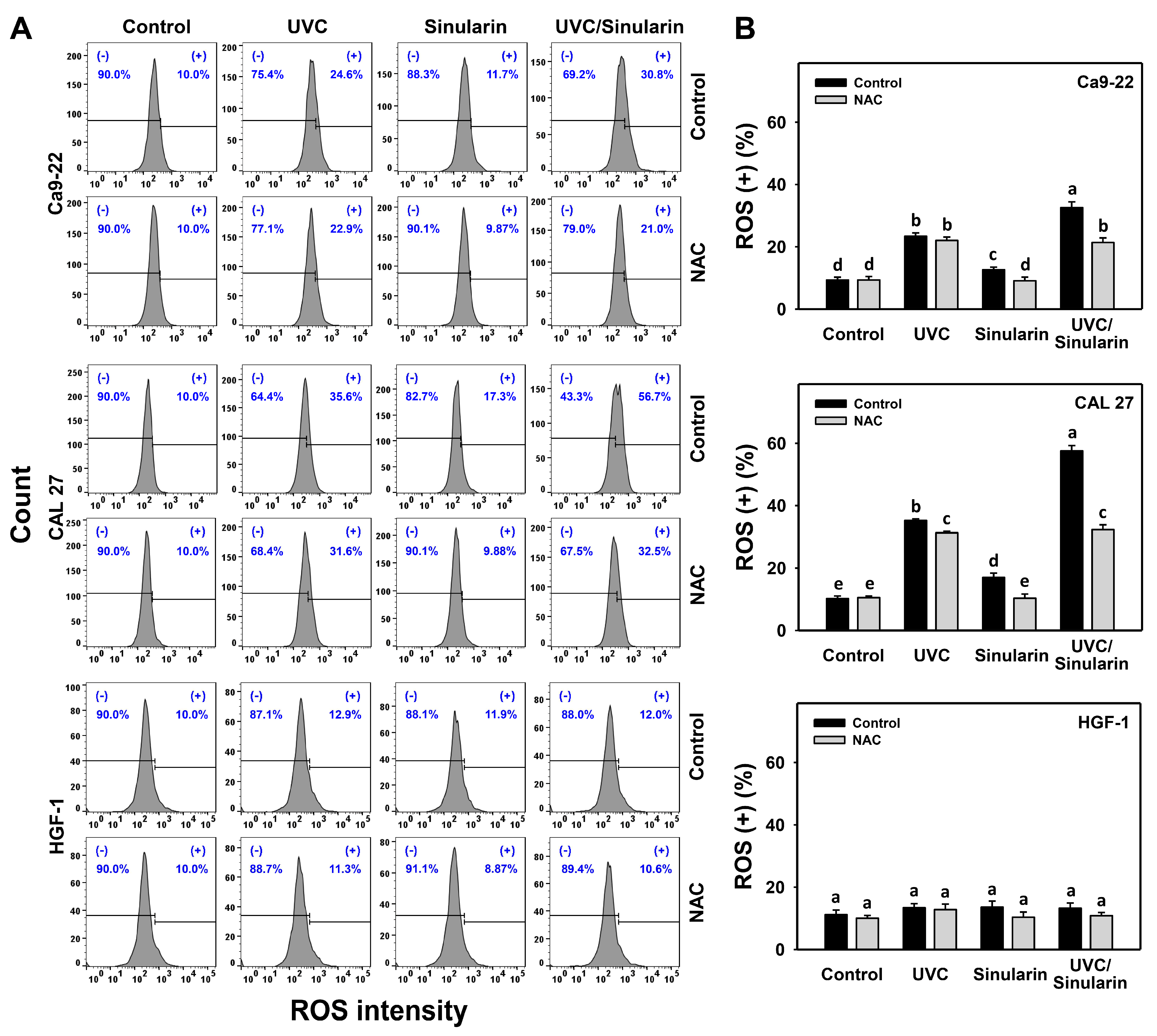 Cancers 13 02450 g005 Cancers 13 02450 g005