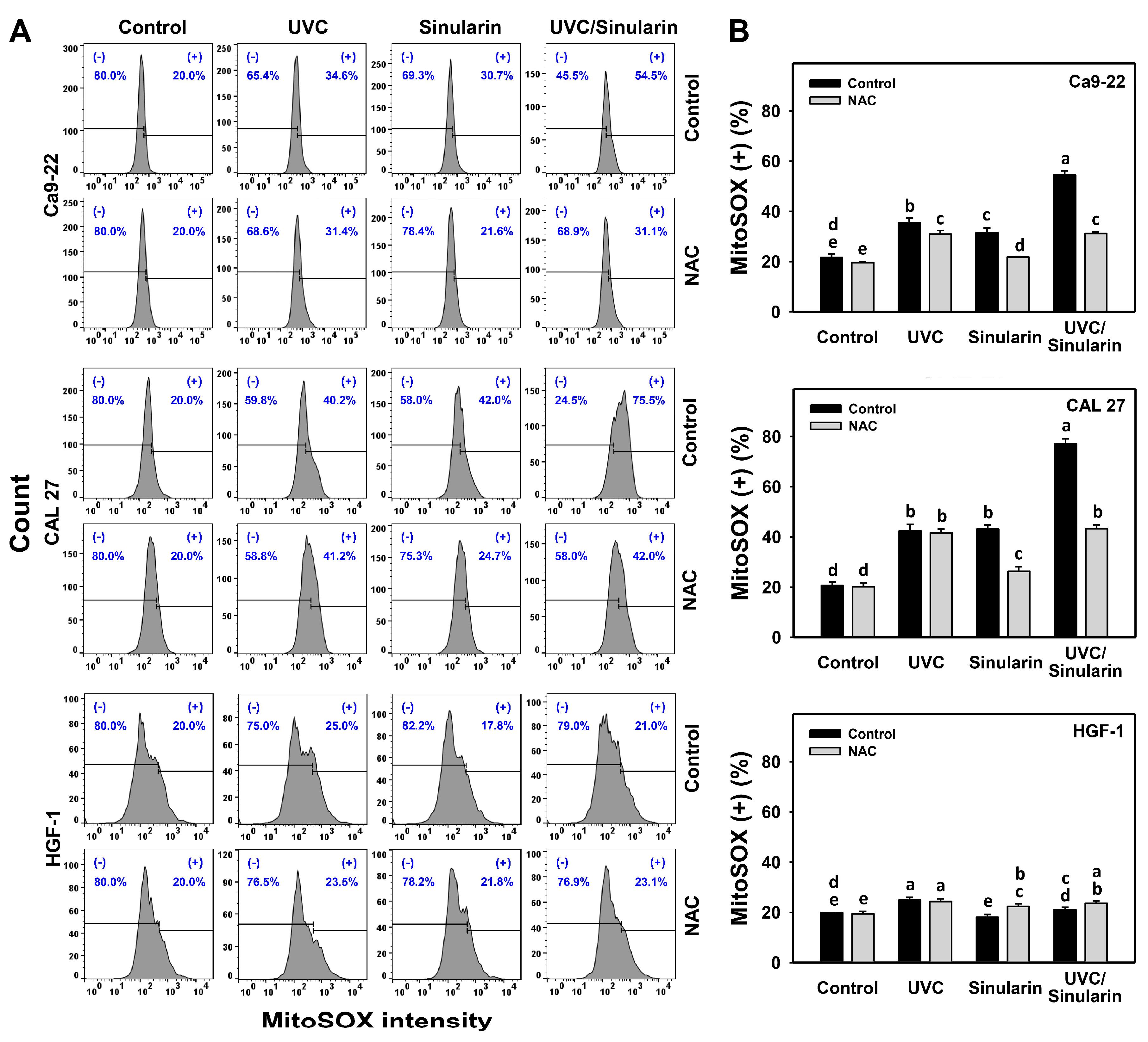 Cancers 13 02450 g006 Cancers 13 02450 g006