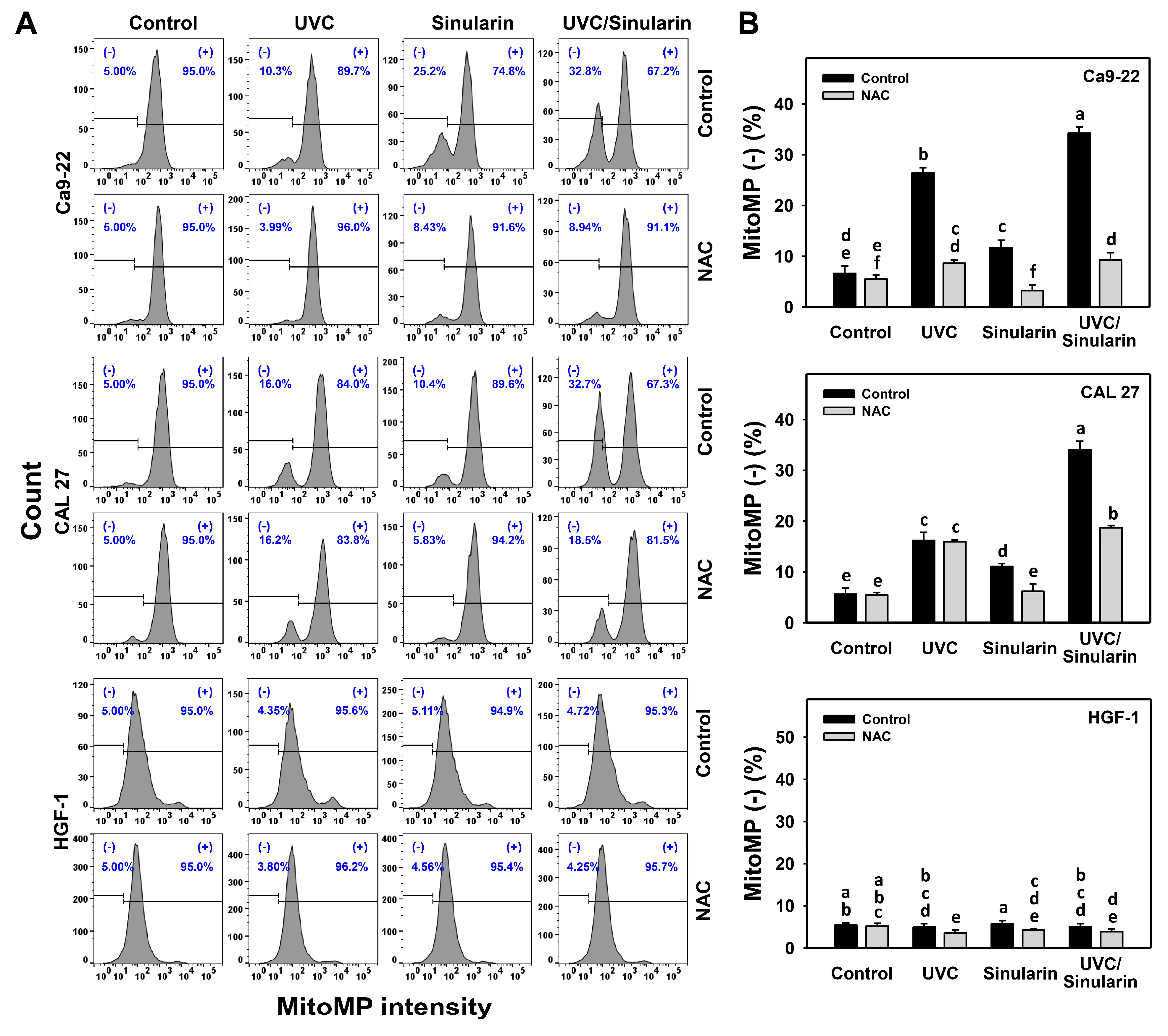 Cancers 13 02450 g007 Cancers 13 02450 g007