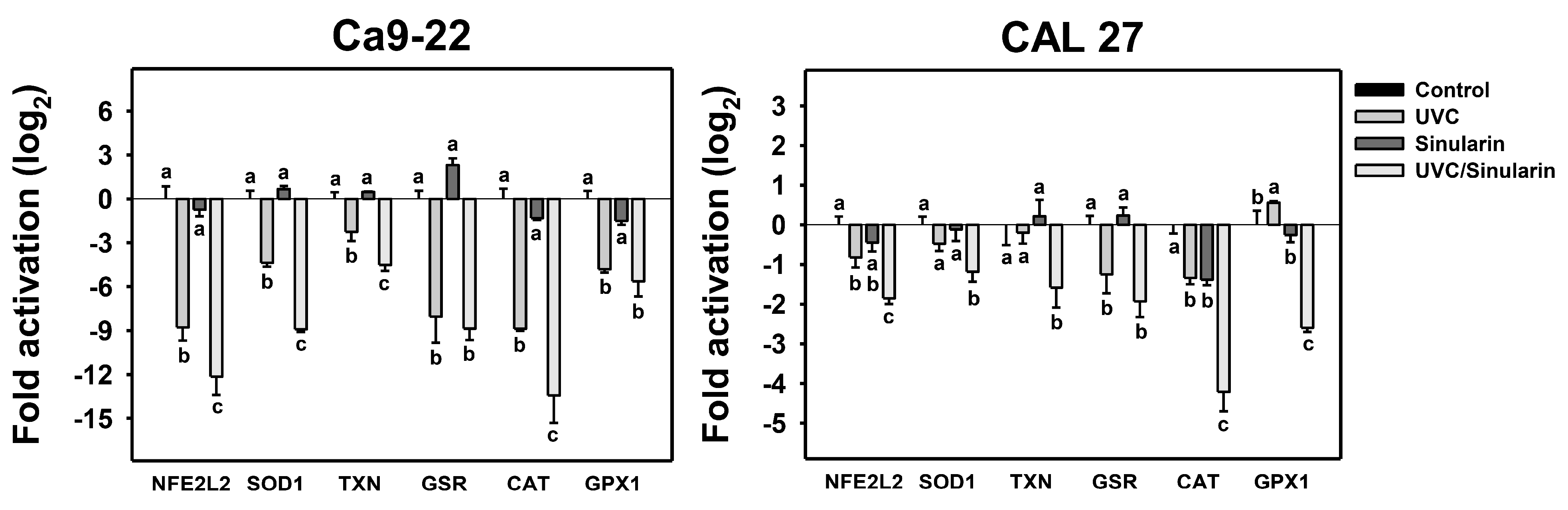 Cancers 13 02450 g008 Cancers 13 02450 g008