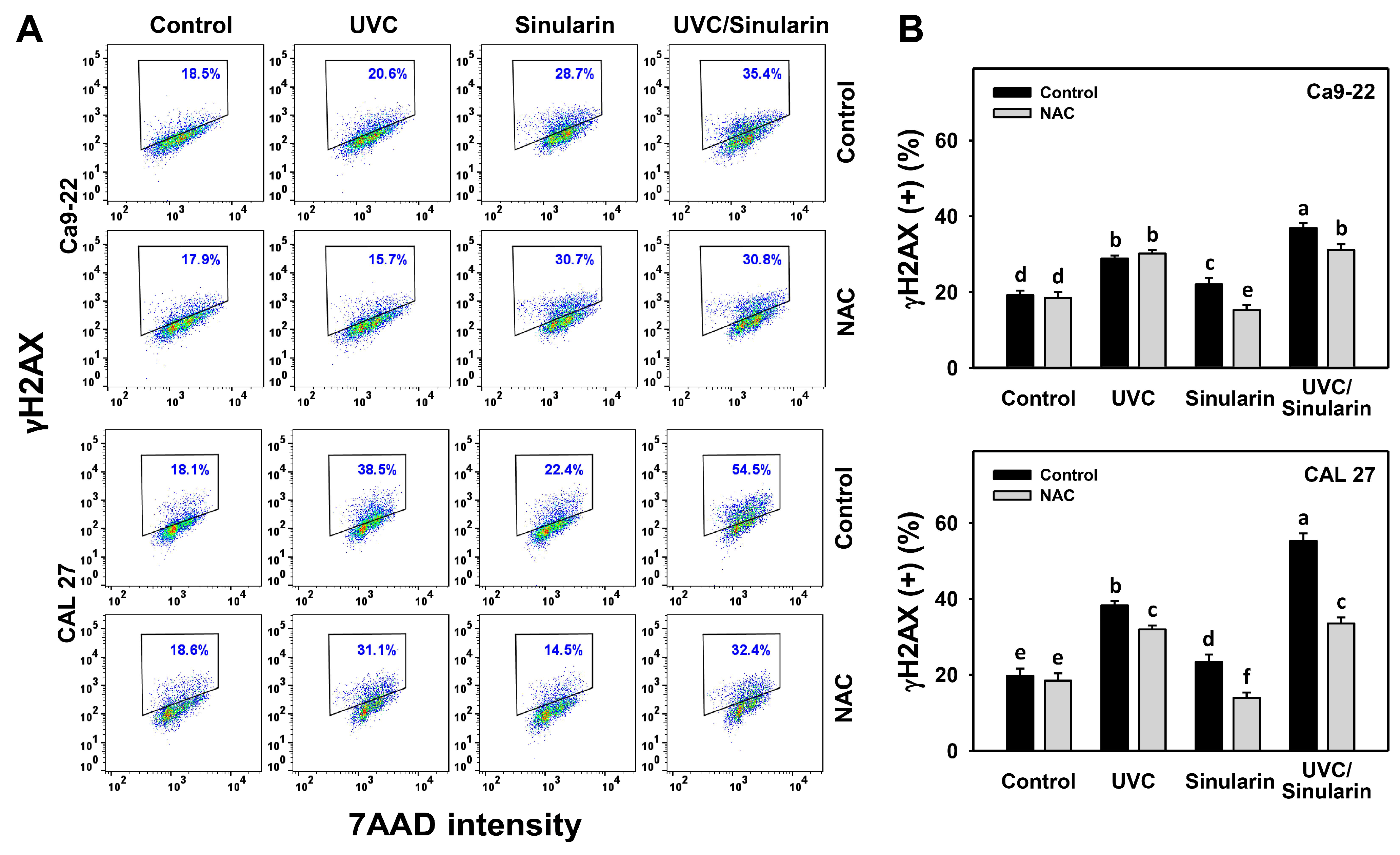 Cancers 13 02450 g009 Cancers 13 02450 g009