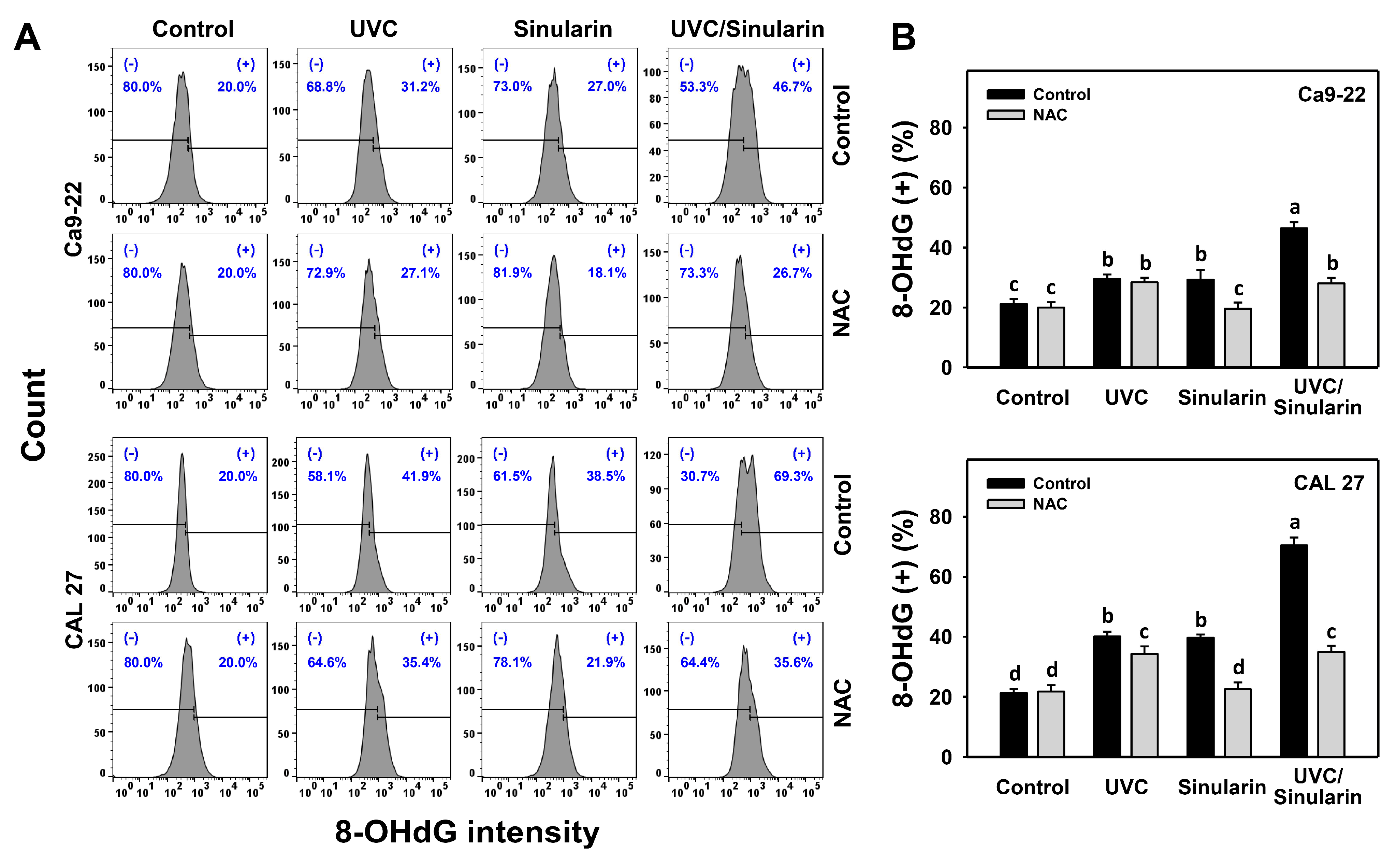 Cancers 13 02450 g010 Cancers 13 02450 g010