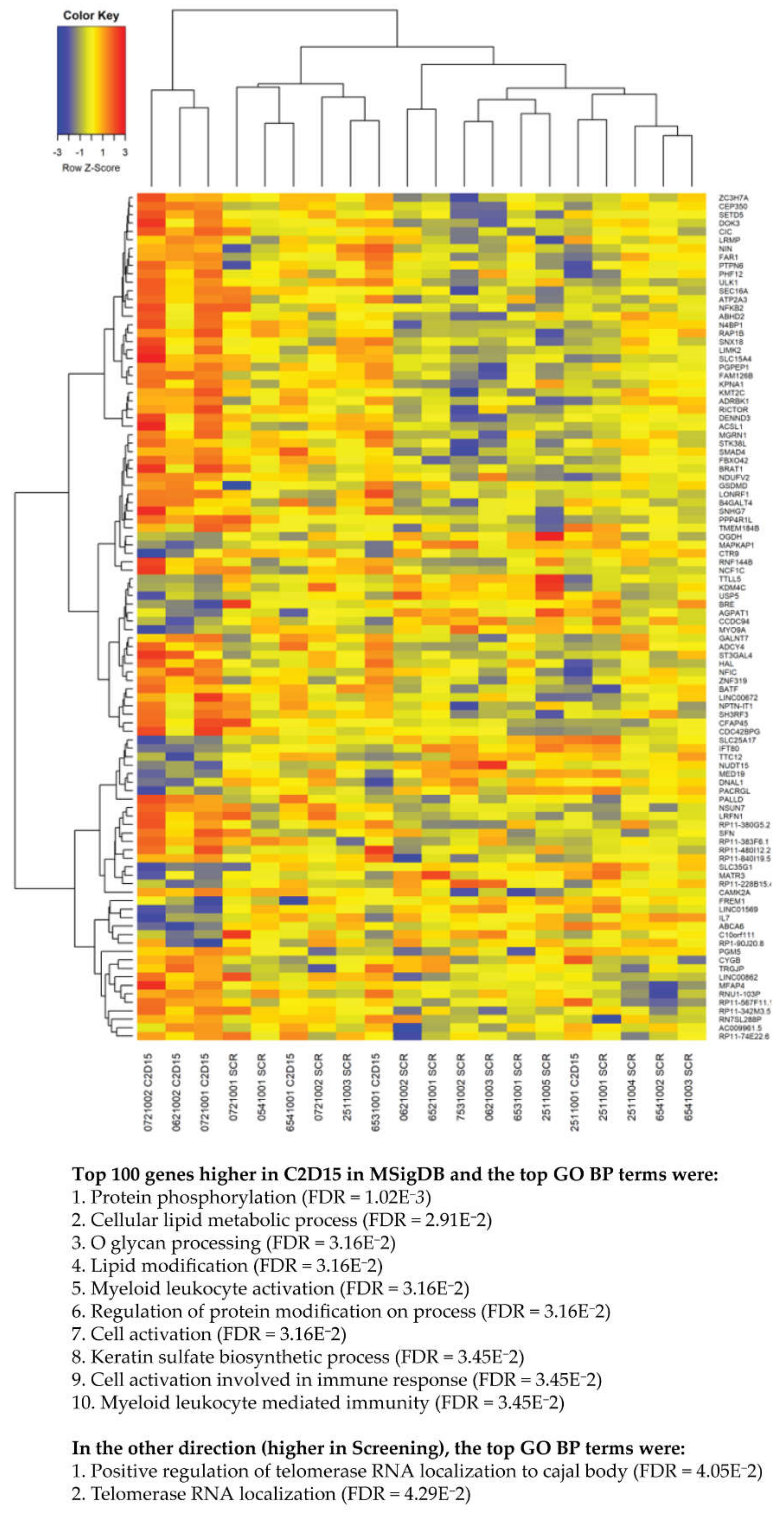 Cancers 13 02452 g003 Cancers 13 02452 g003