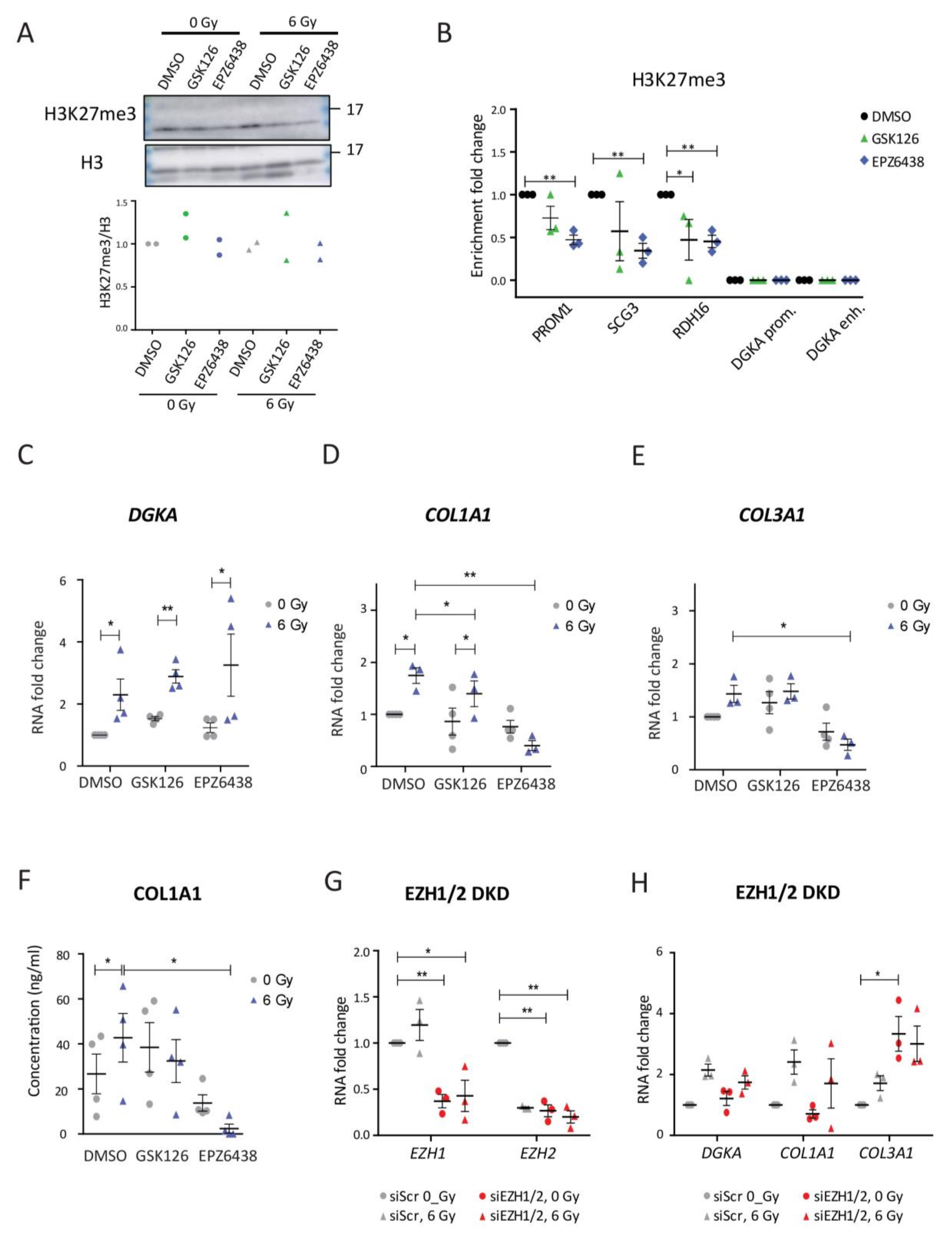 Cancers 13 02455 g004